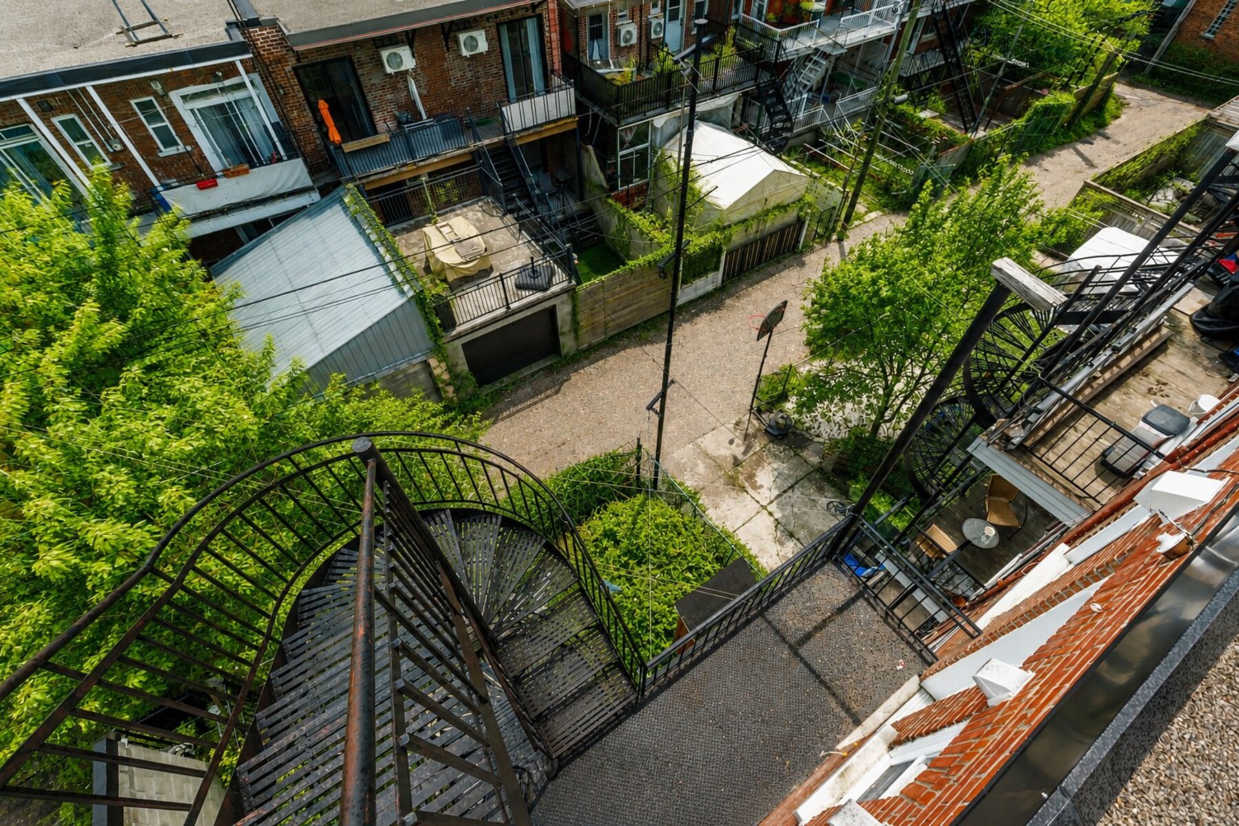  Rosemont / La Petite-Patrie, Montréal - 物件實景