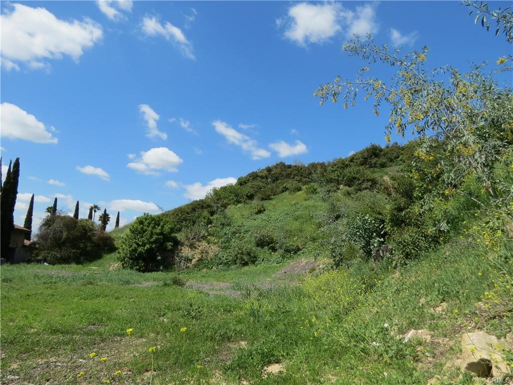 MOUNT WASHINGTON, California, 90065, United States, ,Residential,For Sale,1928534
