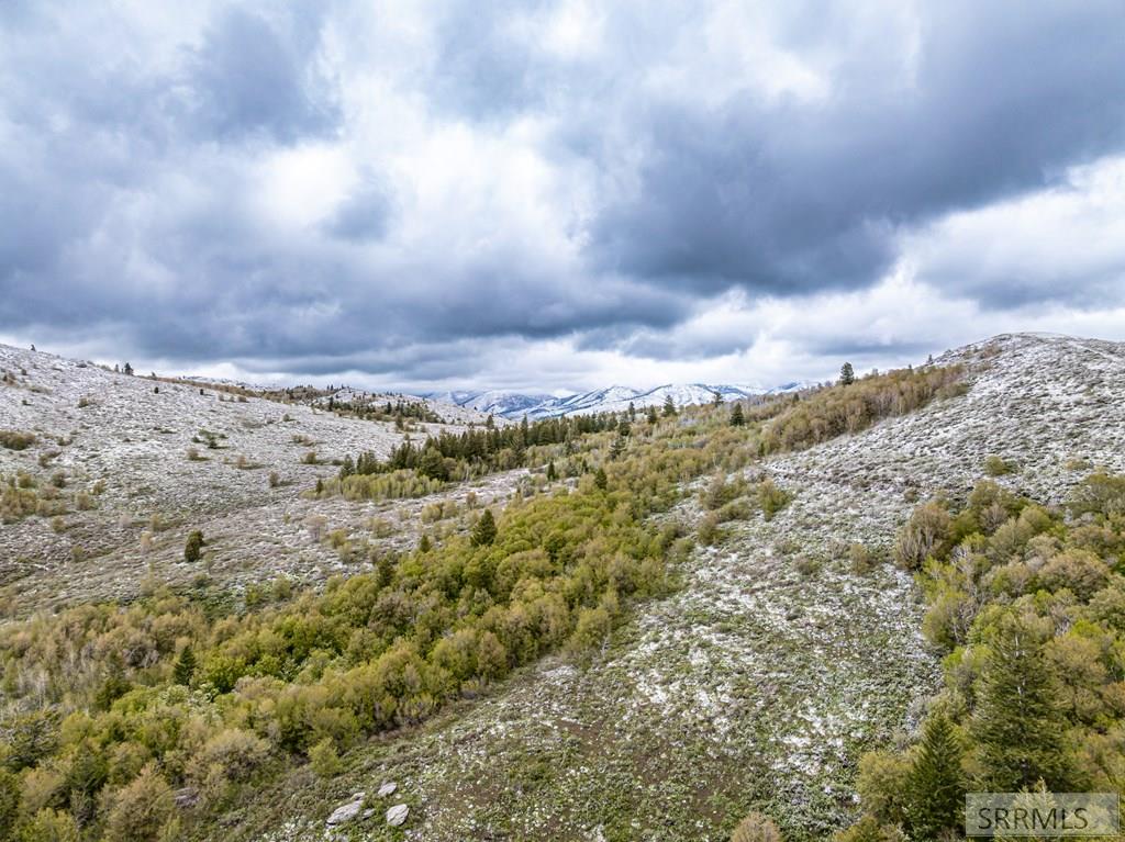 POCATELLO, Idaho, 83201, United States, ,Residential,For Sale,1928703