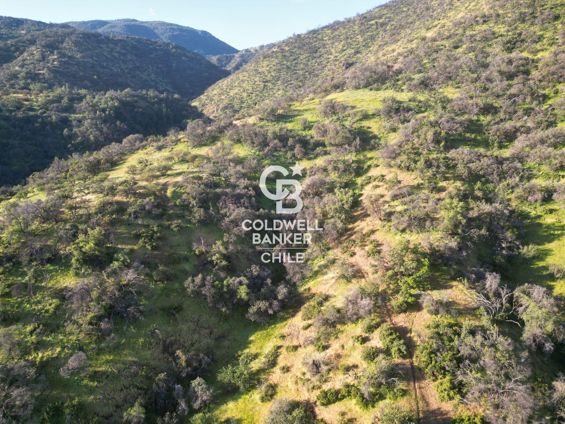 Lo Barnechea, Chile, ,Land,For Sale,1926302