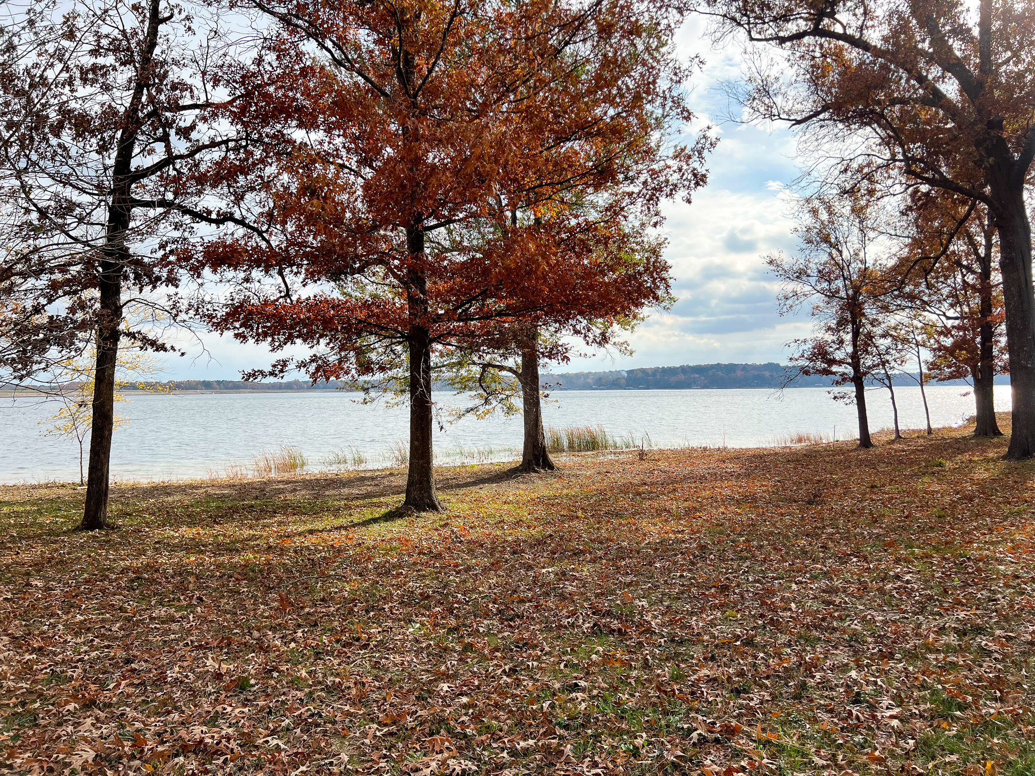 Mt Vernon, Texas, 75457, United States, ,Land,For Sale,1982226