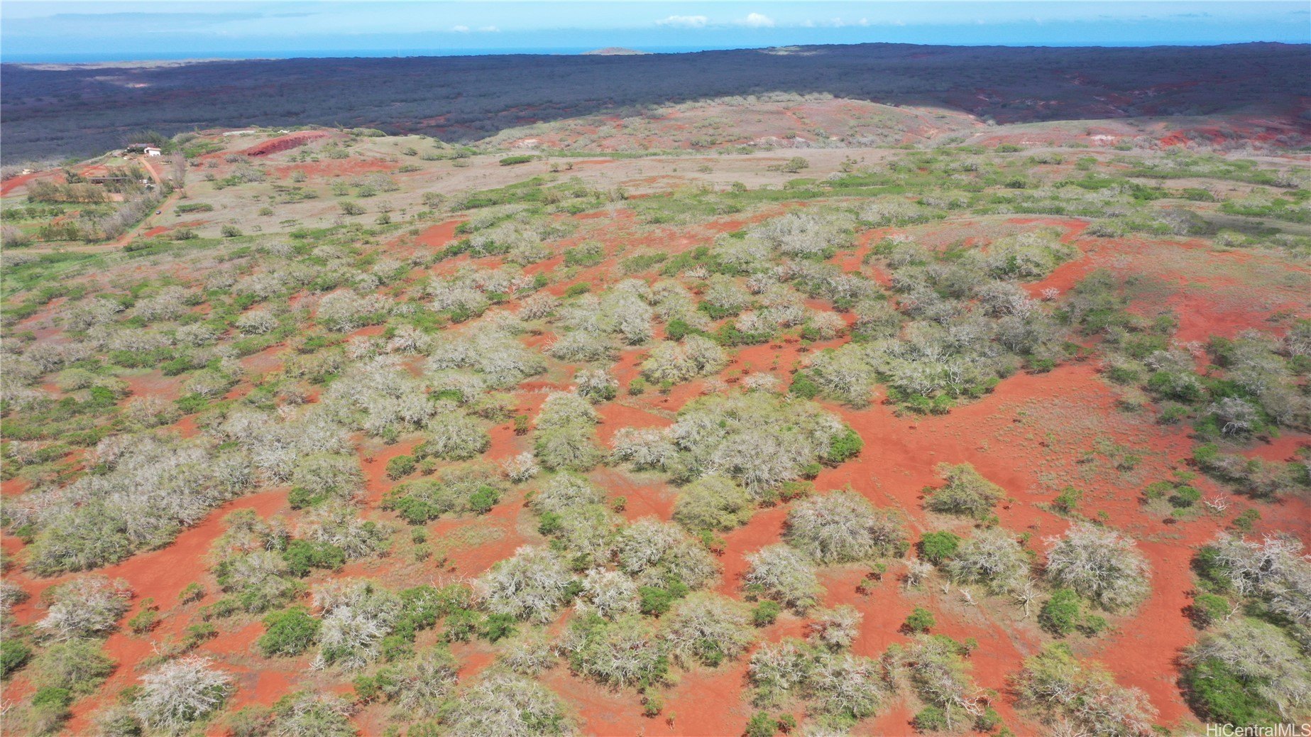 Maunaloa, Hawaii, 96770, United States, ,Land,For Sale,1977716