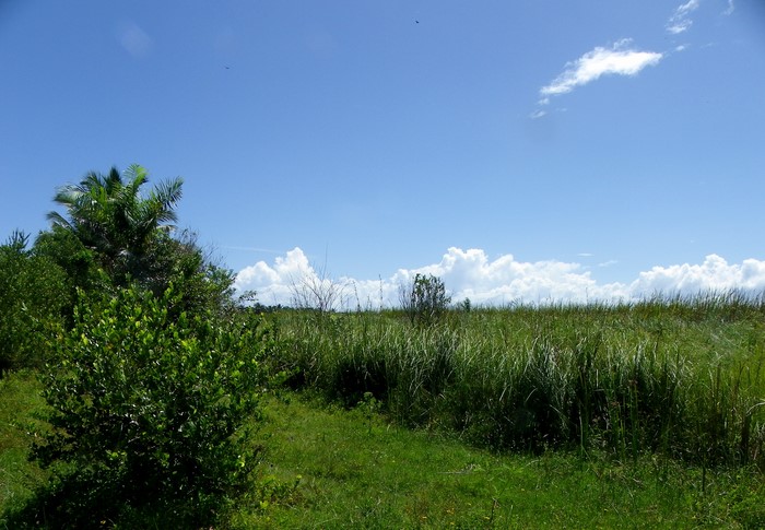 Cabarete, DO, ,Land,For Sale,1627535