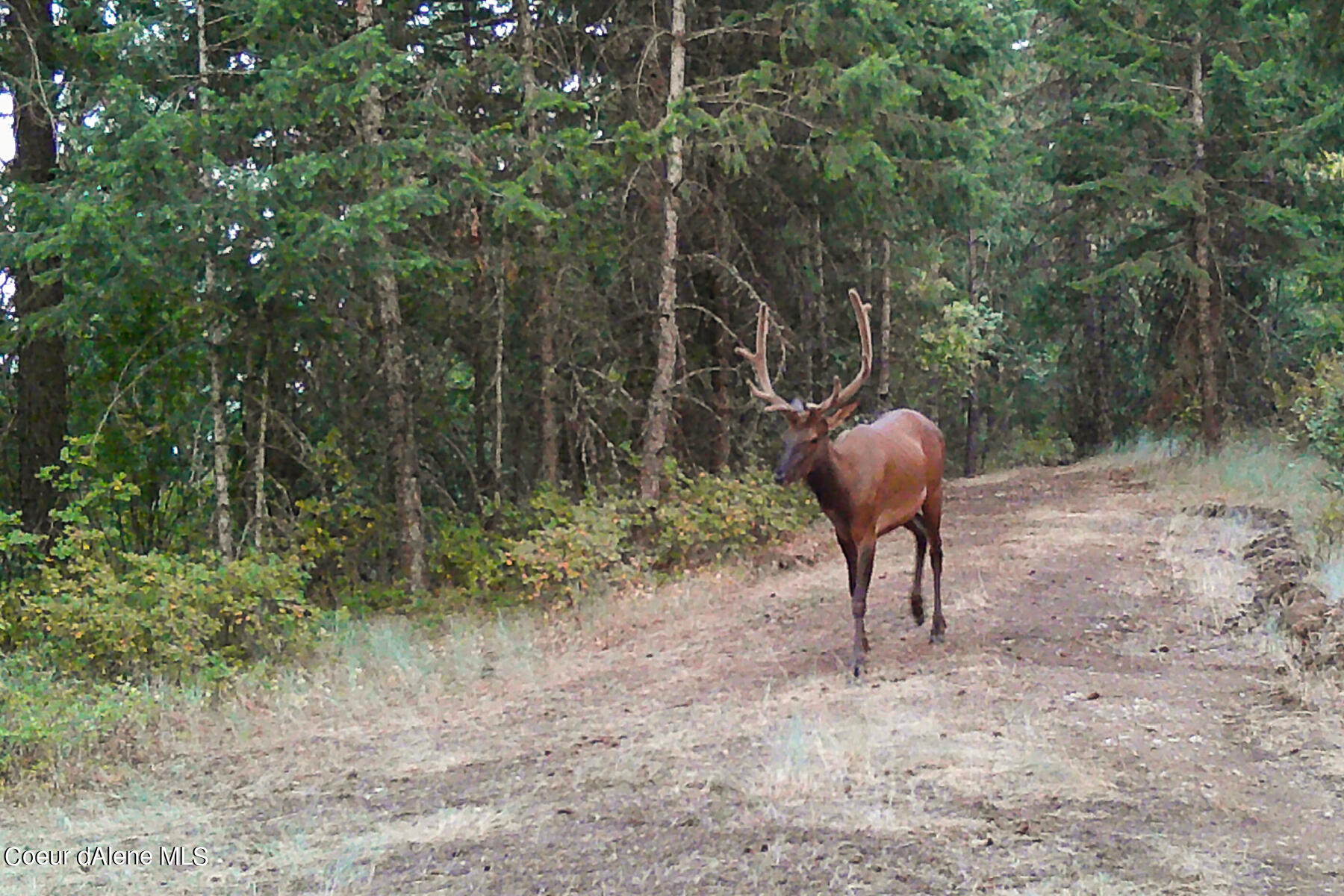 Coeur d'Alene, Idaho, 83814, United States, 4 Bedrooms Bedrooms, ,3 BathroomsBathrooms,Residential,For Sale,1974008