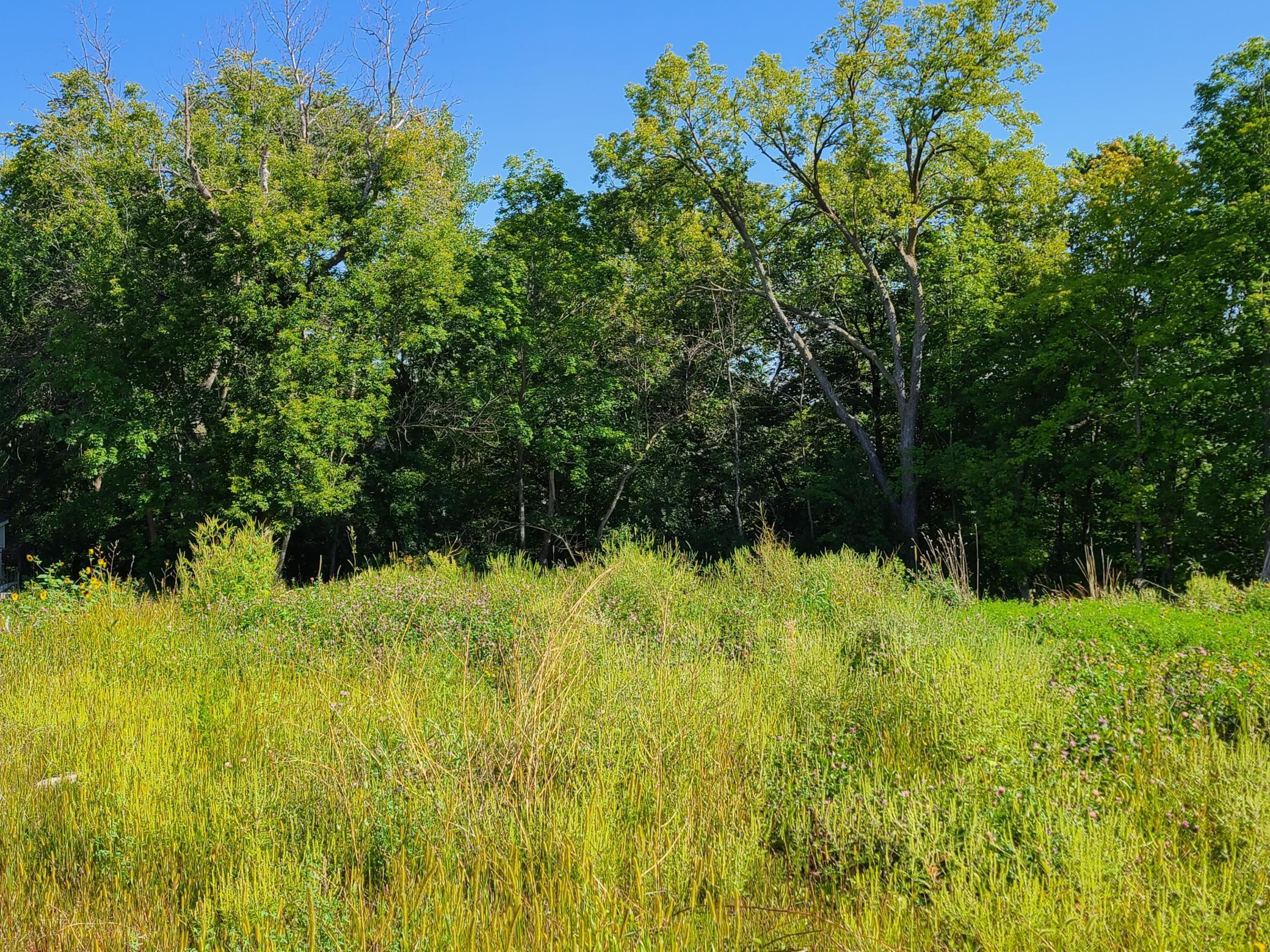 Wayzata, Minnesota, 55391, United States, 5 Bedrooms Bedrooms, ,3 BathroomsBathrooms,Residential,For Sale,1986264