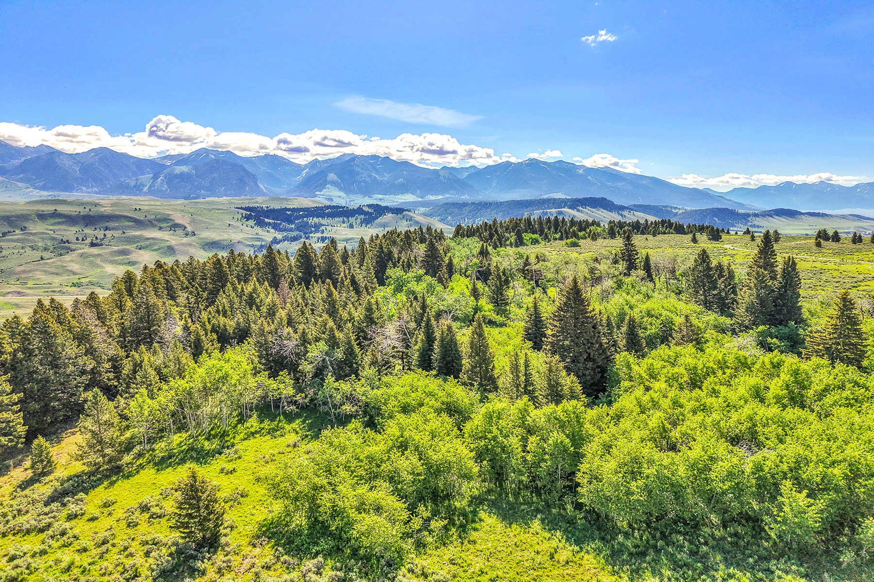  Lot 33A Elk Ridge Road - 物件實景