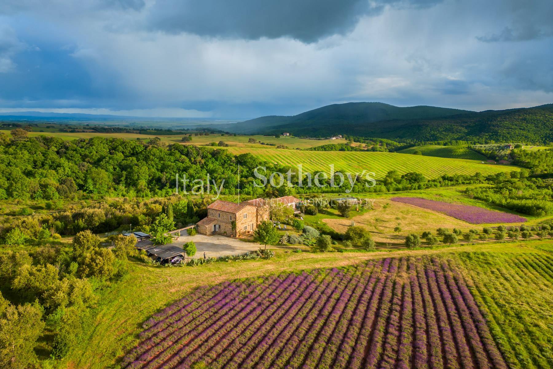  Magnificent estate close to Capalbio - 物件實景