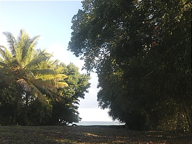 Sosua, DO, ,Land,For Sale,1164552