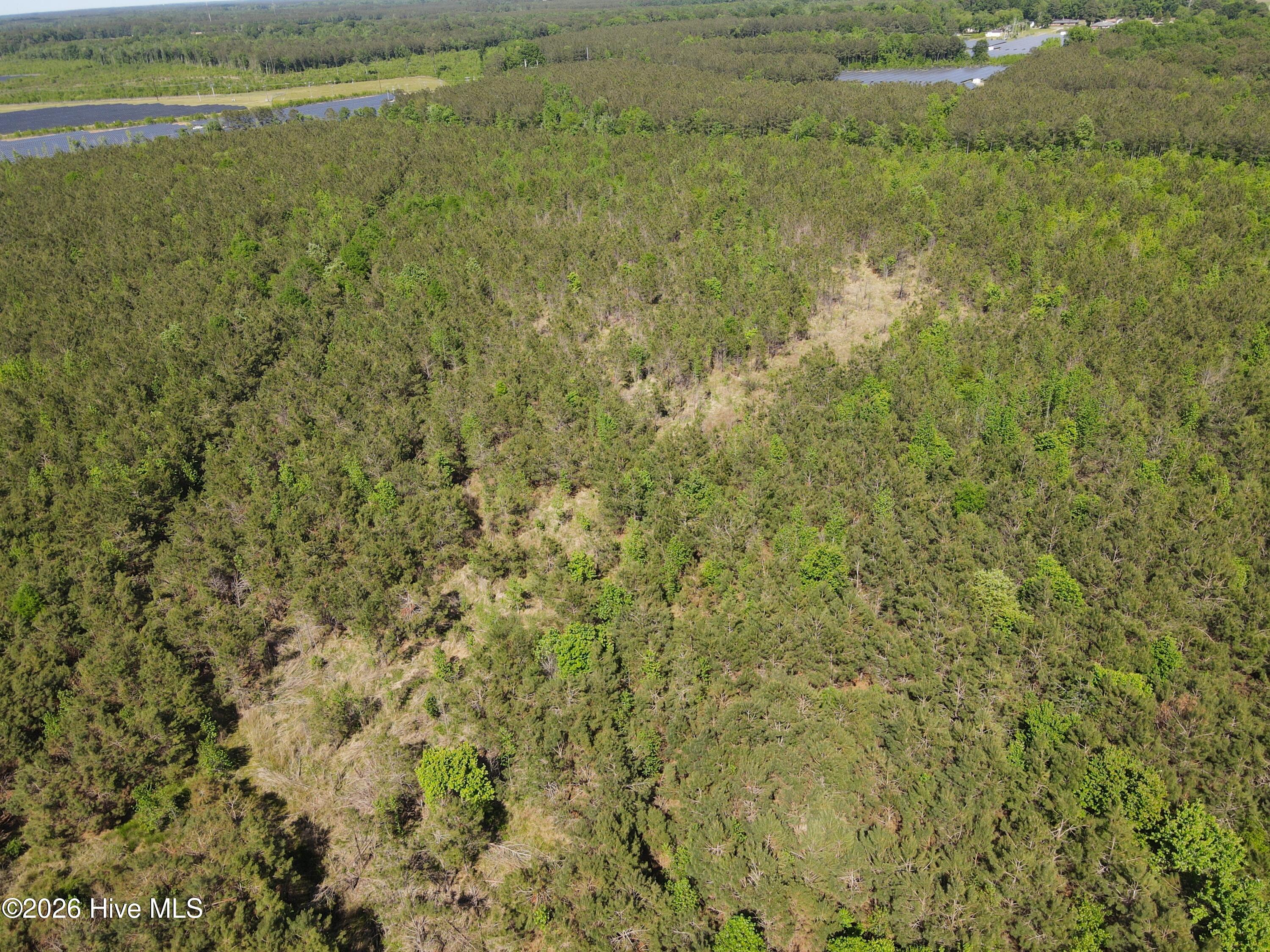 Ahoskie, North Carolina, 27910, United States, ,Land,For Sale,2048833