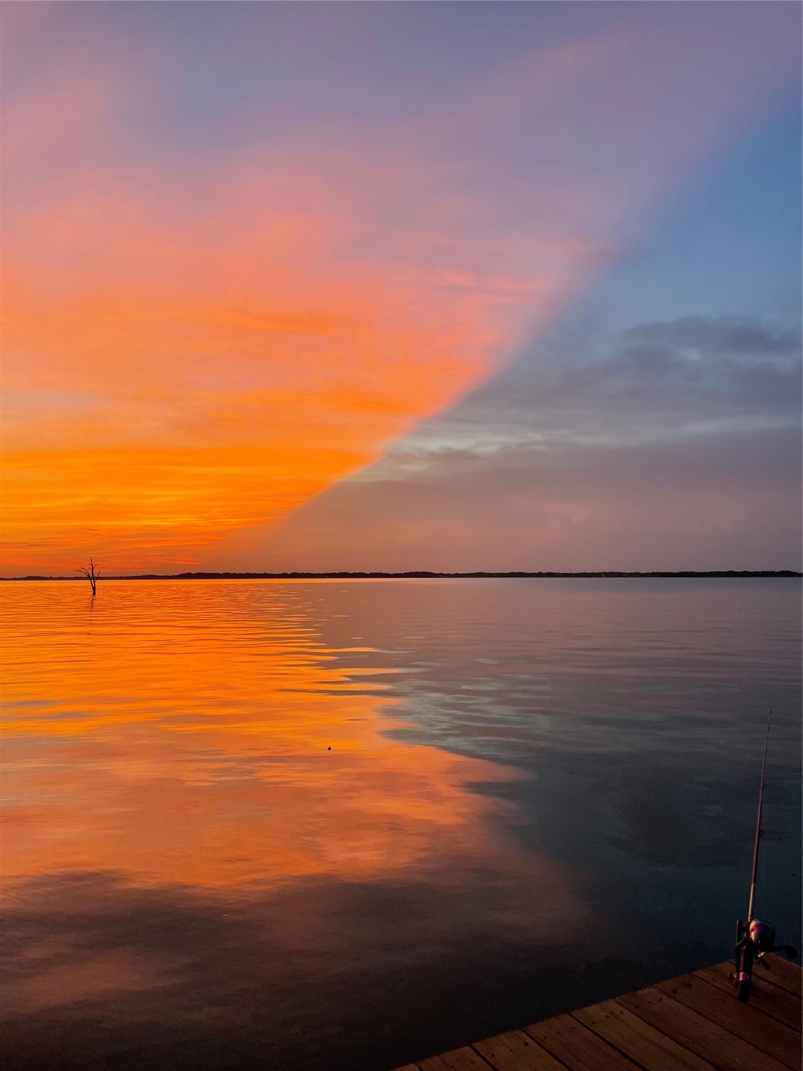 Streetman, Texas, 75859, United States, 2 Bedrooms Bedrooms, ,3 BathroomsBathrooms,Residential,For Sale,1985464