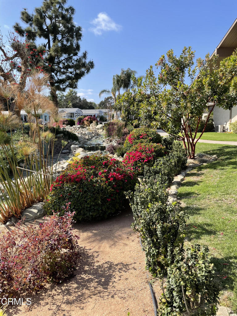 Ventura, California, 93003, United States, 3 Bedrooms Bedrooms, ,2 BathroomsBathrooms,Residential,For Sale,1980962