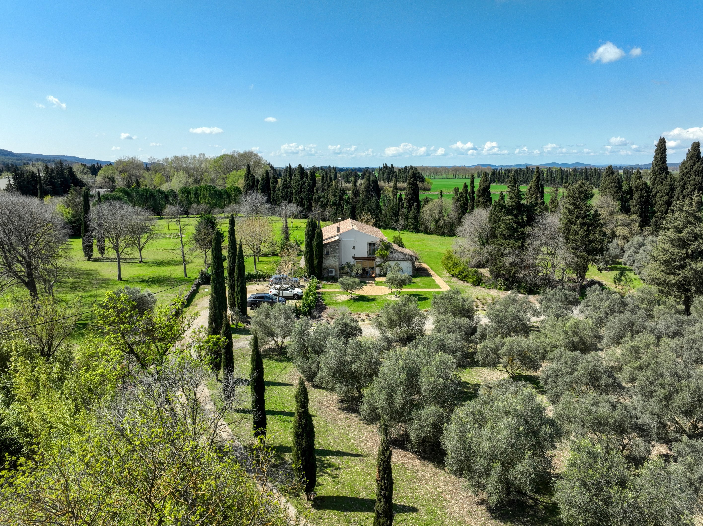 Stone mas set within a private olive grove in Saint-Rémy-de-Provence - 物件實景