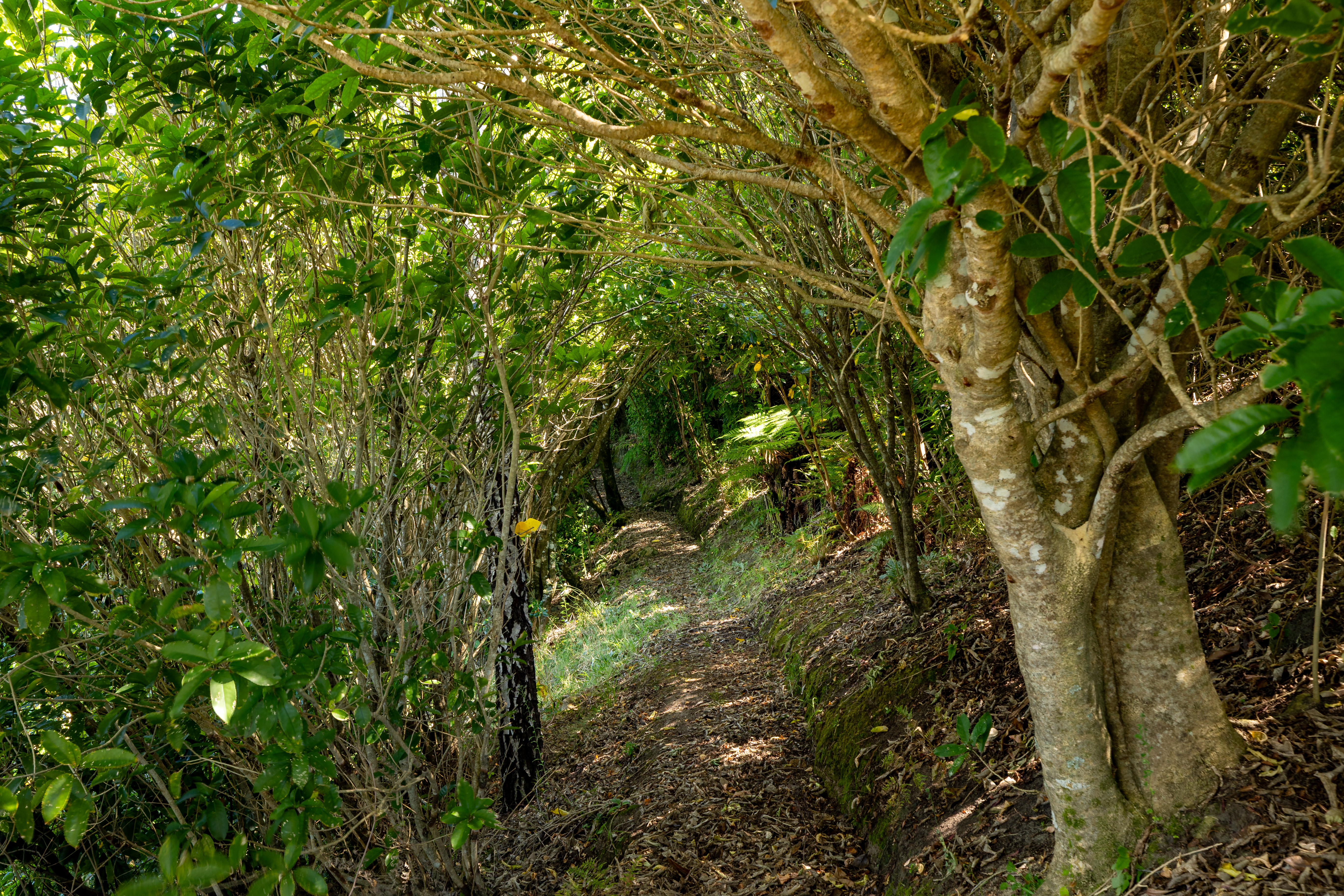  177 Riwaka-Sandy Bay Road, Riwaka - 物件實景