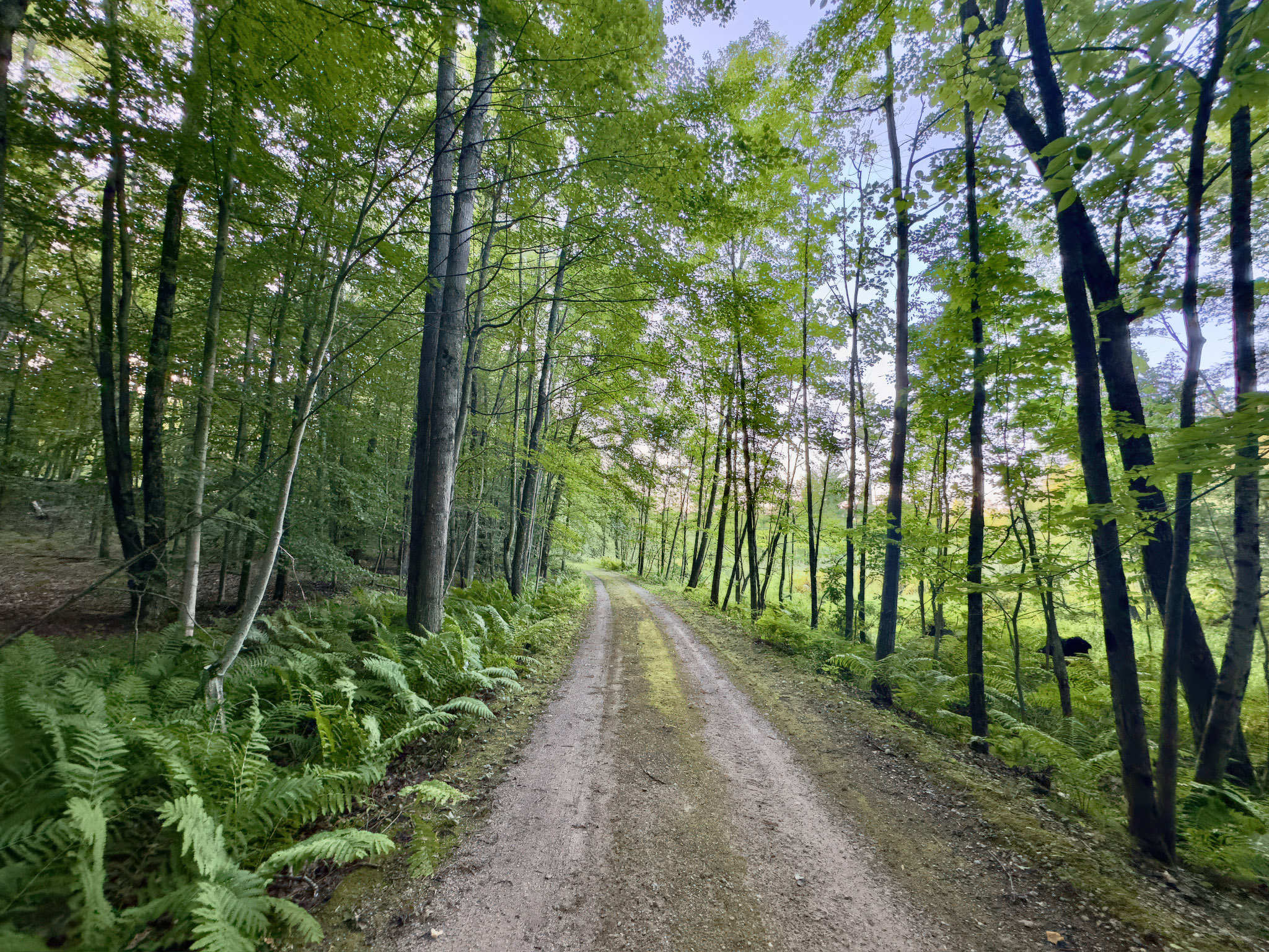 Branch, Michigan, 49402, United States, 1 Bedroom Bedrooms, ,1 BathroomBathrooms,Residential,For Sale,2001233