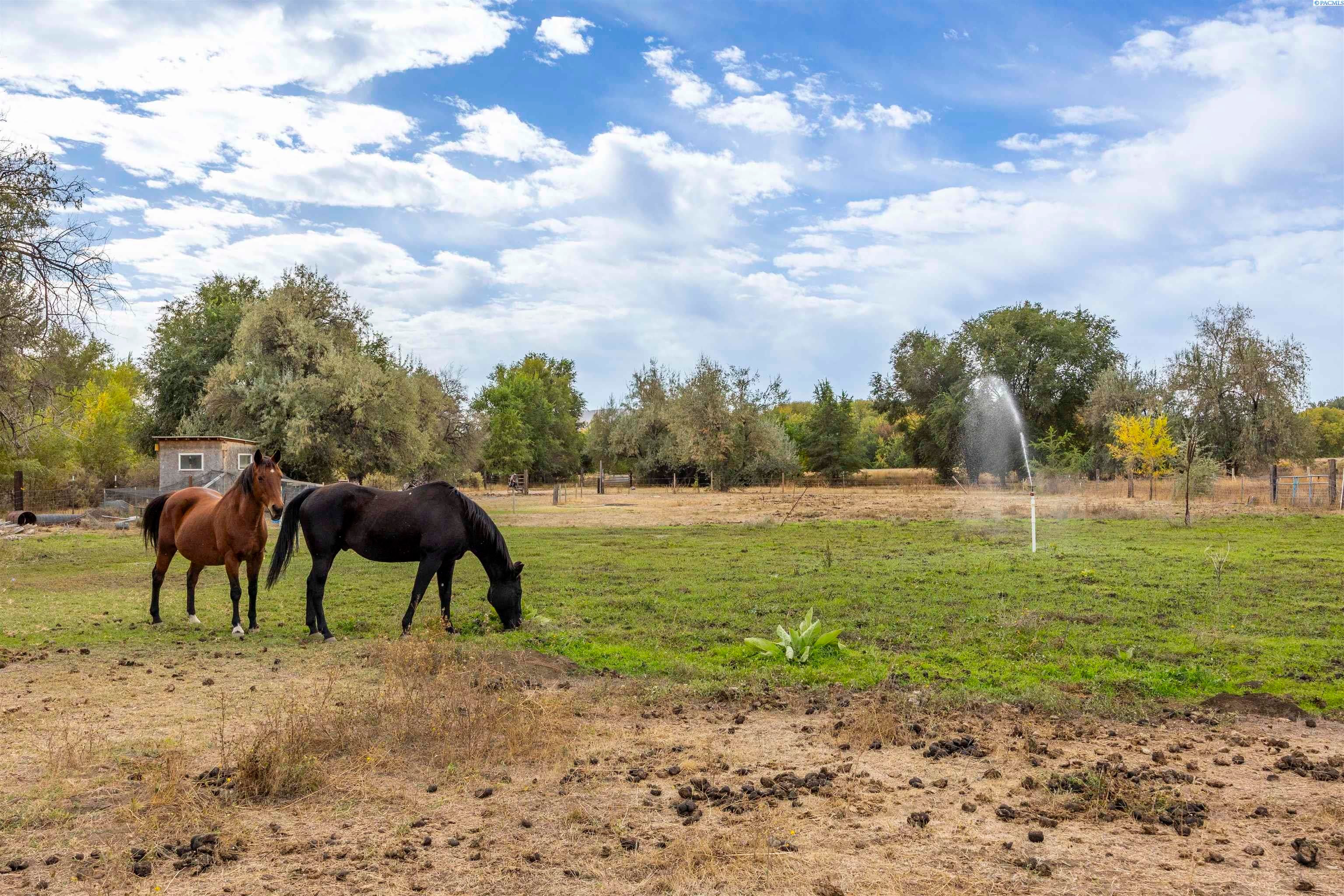 Richland, Washington, 99354, United States, 3 Bedrooms Bedrooms, ,2 BathroomsBathrooms,Residential,For Sale,1978459