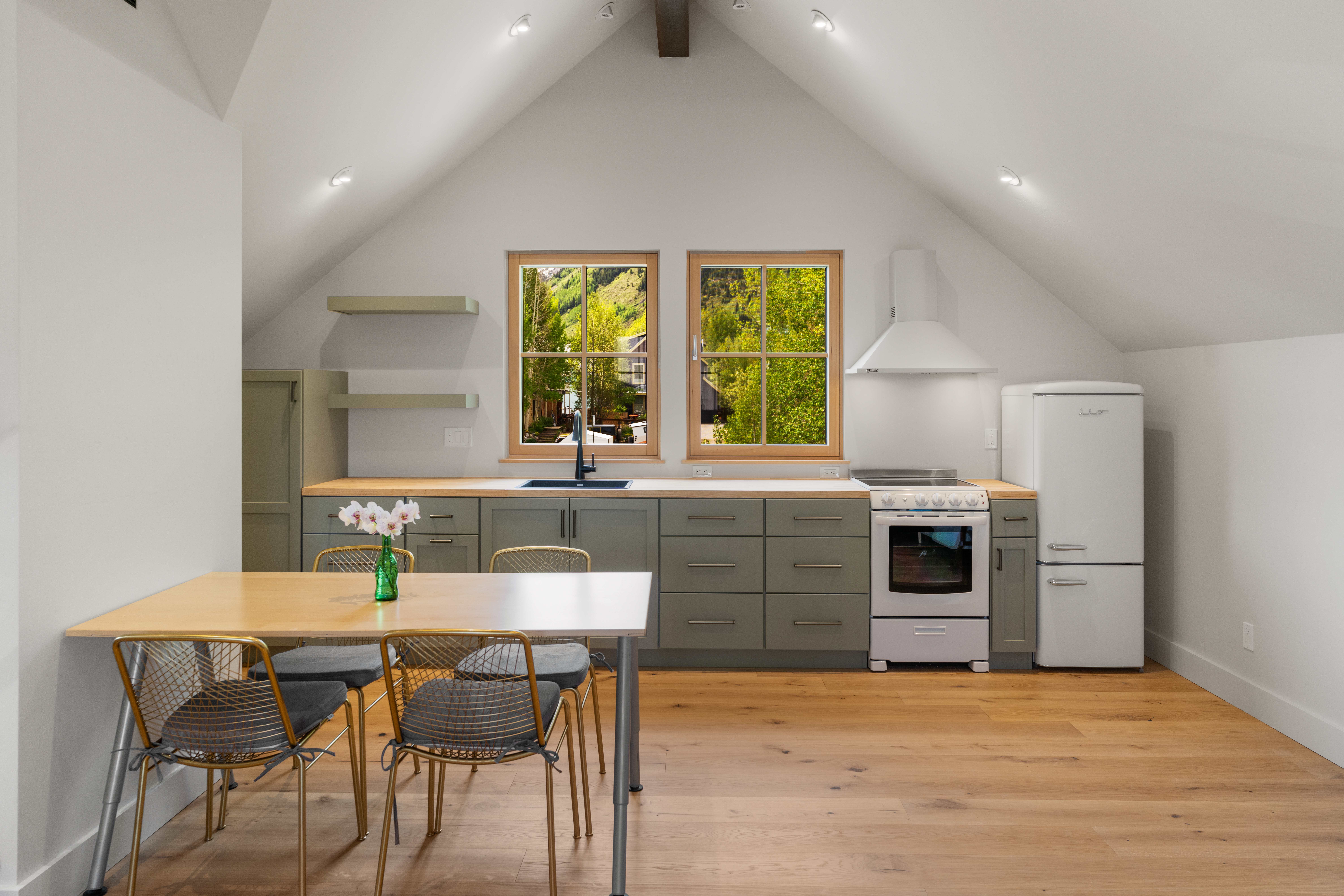  Cutting Edge Sustainable Construction with ADU in Crested Butte - 物件實景
