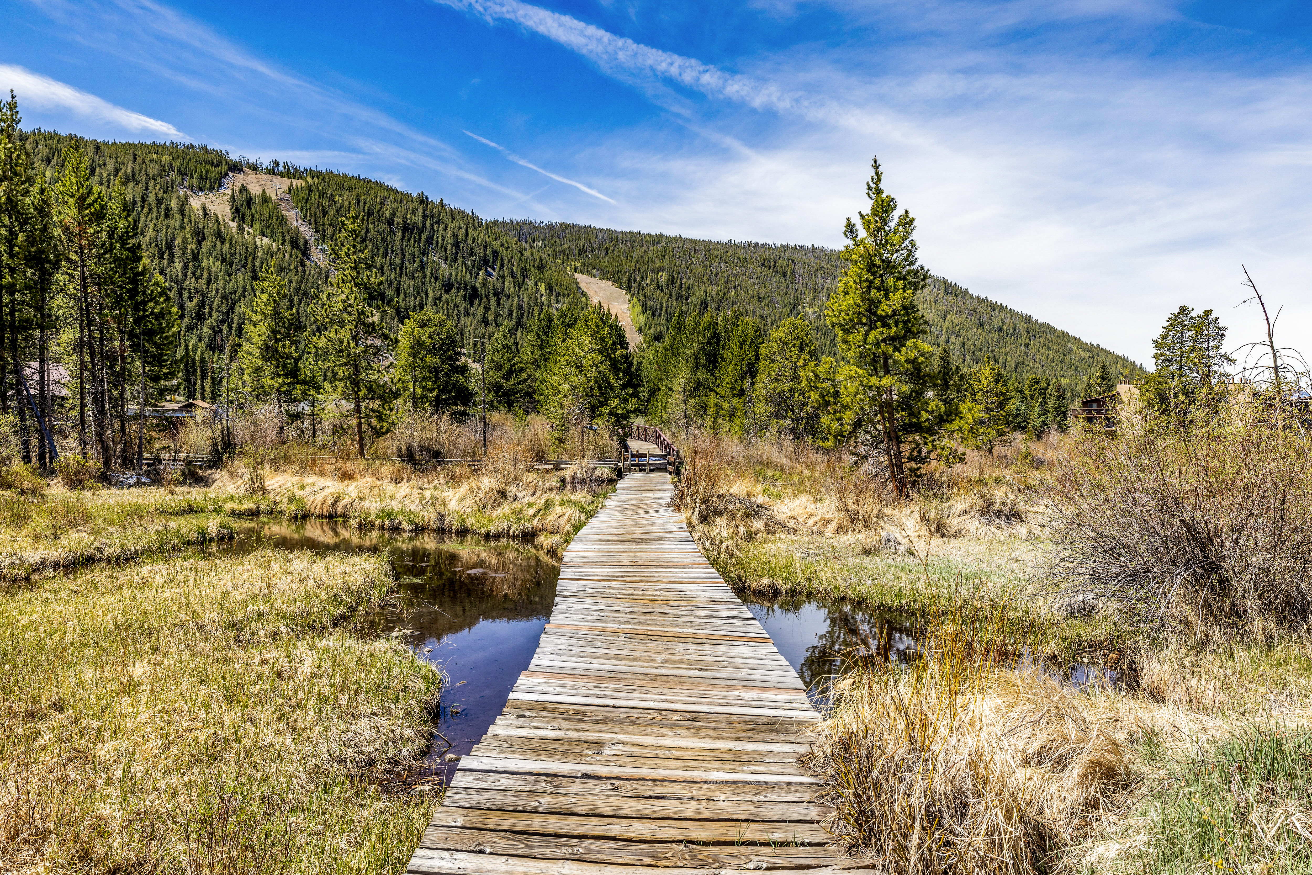  60 Oro Grande Drive, Keystone, CO, 80435 - 物件實景