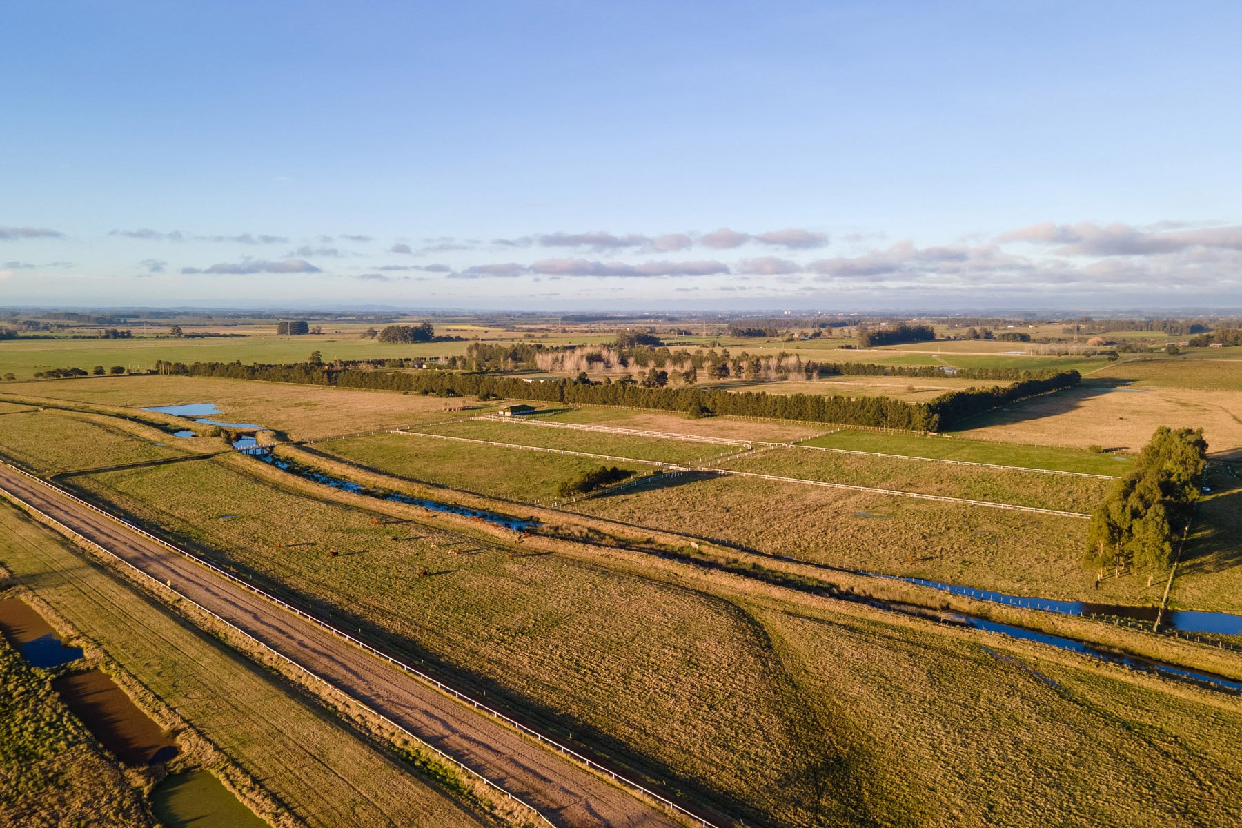  NAHUEL Stud Farm - 物件實景