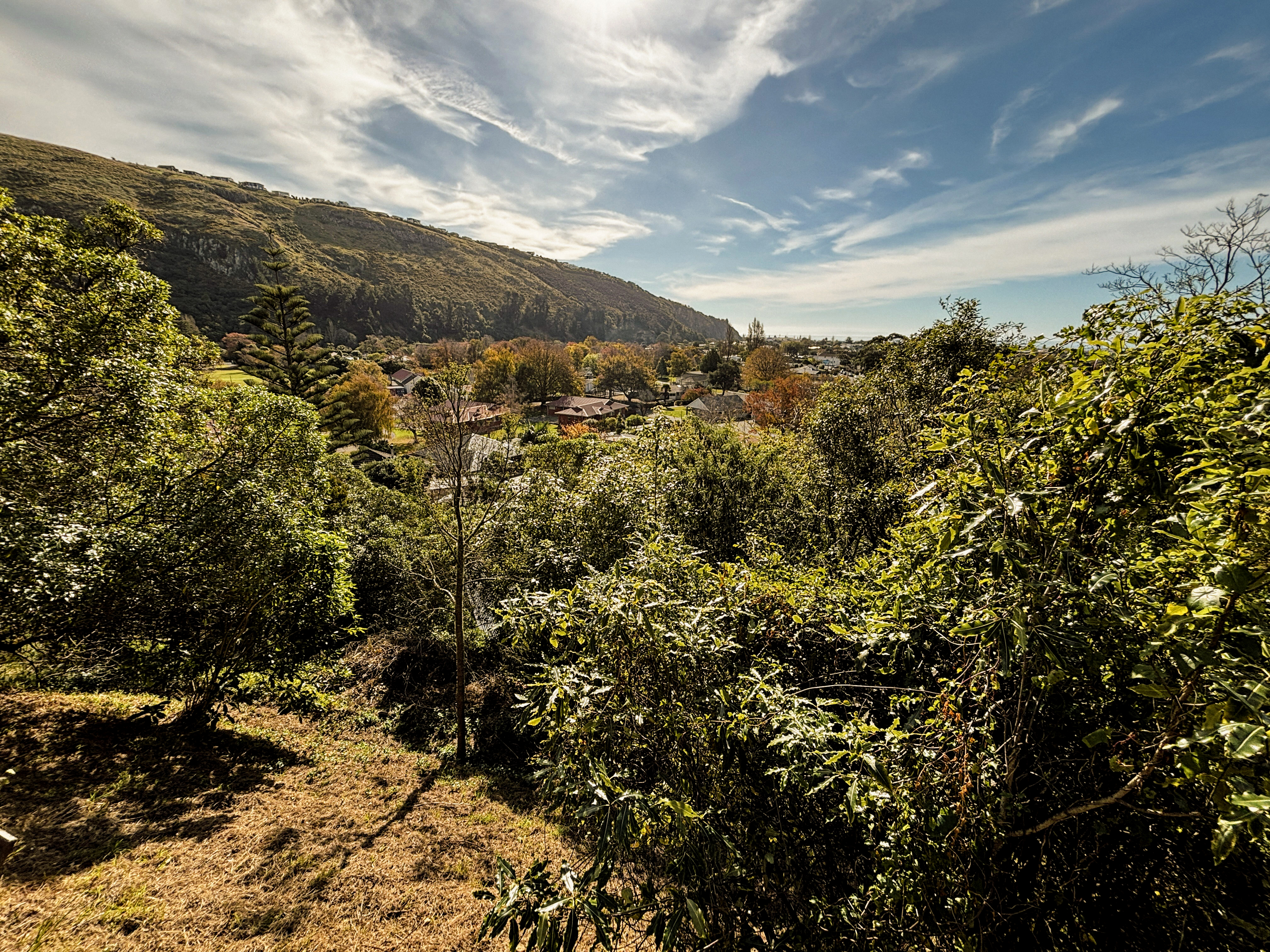  Land, Light and Untapped Potential - 物件實景