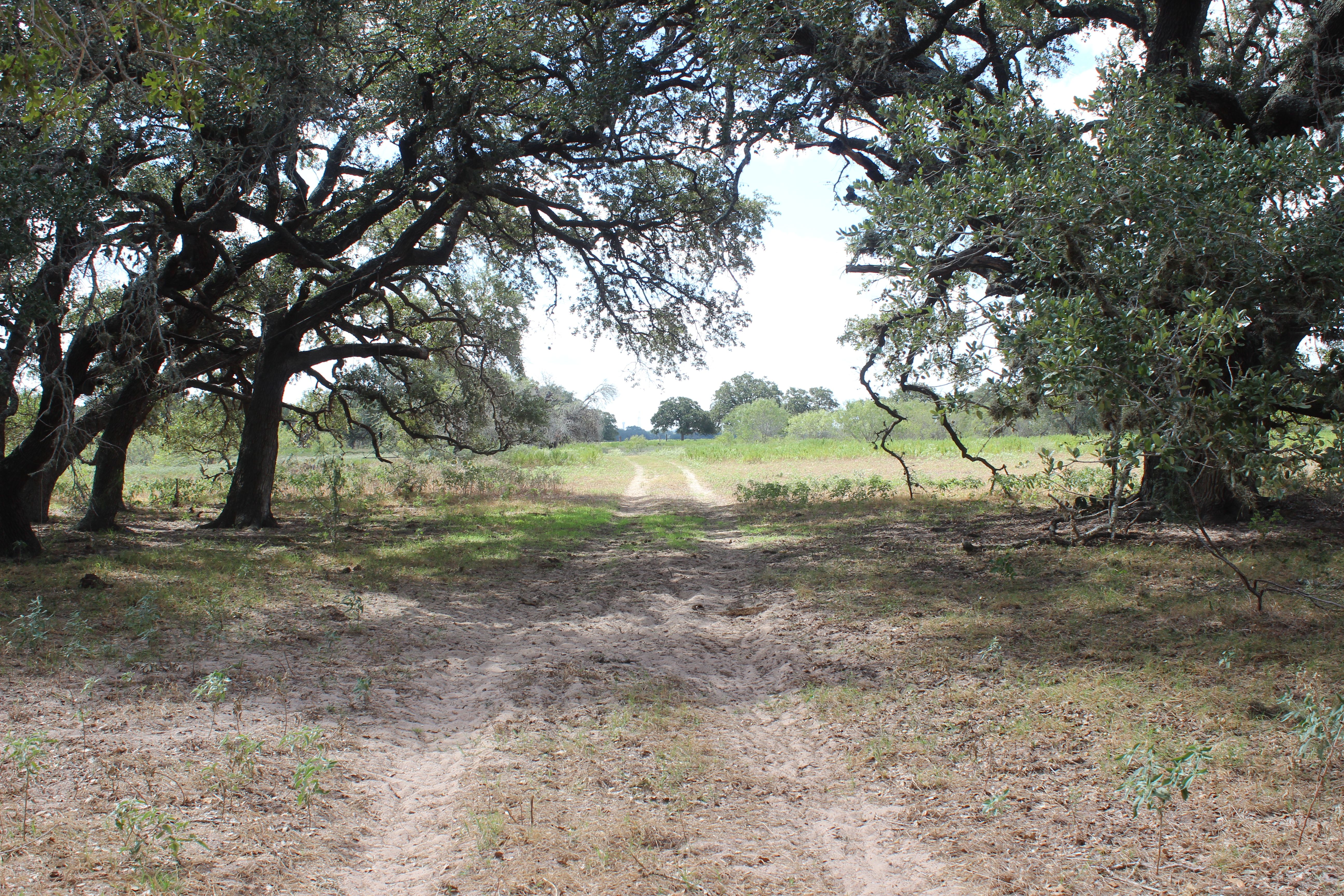  398+/- Acre Grass Pond Colony Ranch - 物件實景