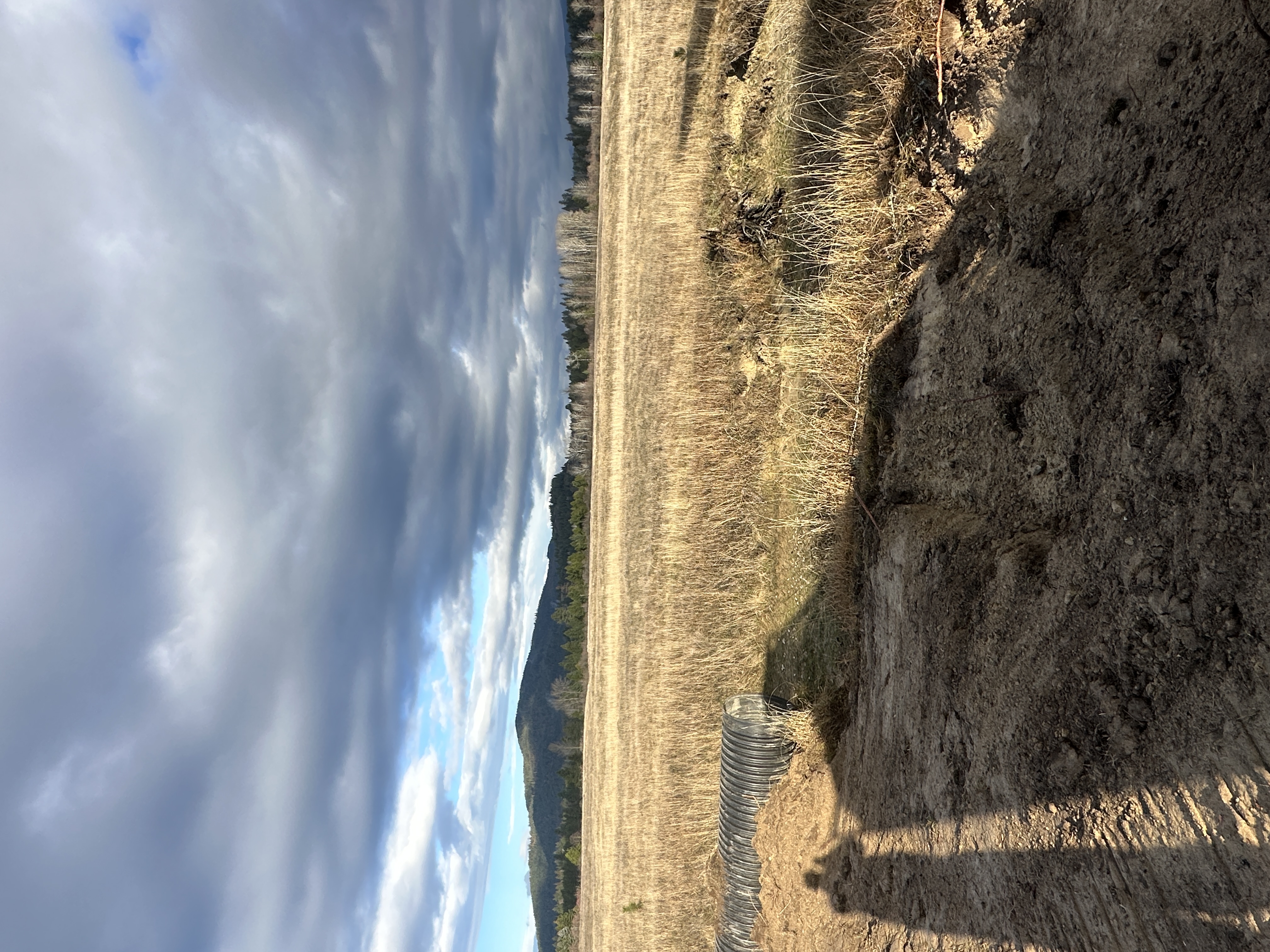 Priest River, Idaho, 83856, United States, ,Land,For Sale,2006127