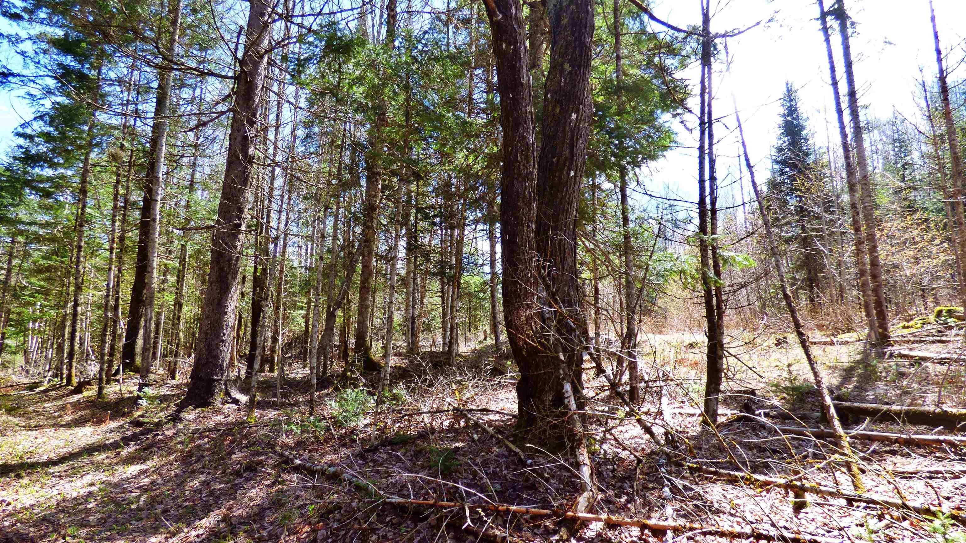 Wheelock, Vermont, 05851, United States, ,Land,For Sale,2017669