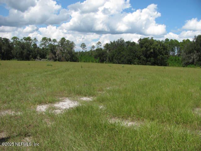 Crescent City, Florida, 32112, United States, ,Land,For Sale,1974247
