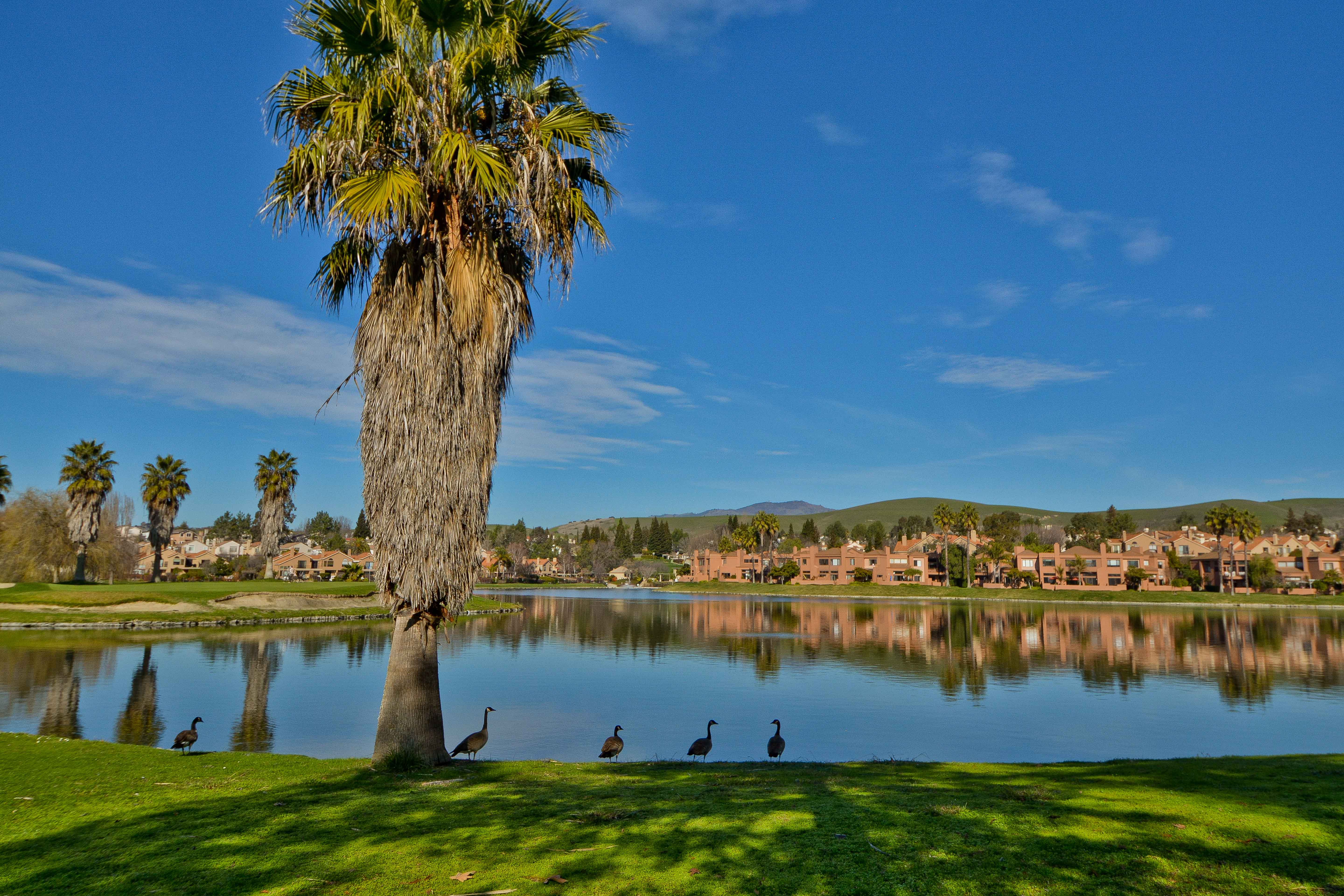  Ground-Level Luxury with Mount Diablo Views in Gated Canyon Lakes - 物件實景