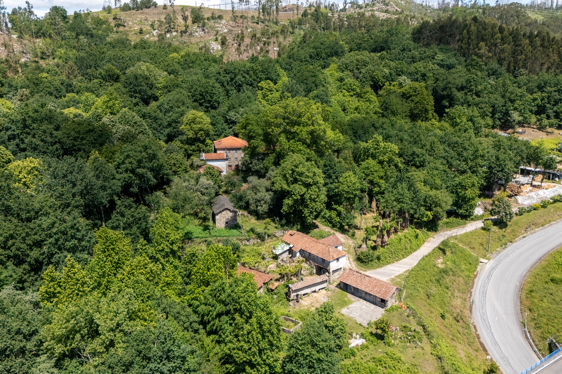  Farm for Sale - 物件實景