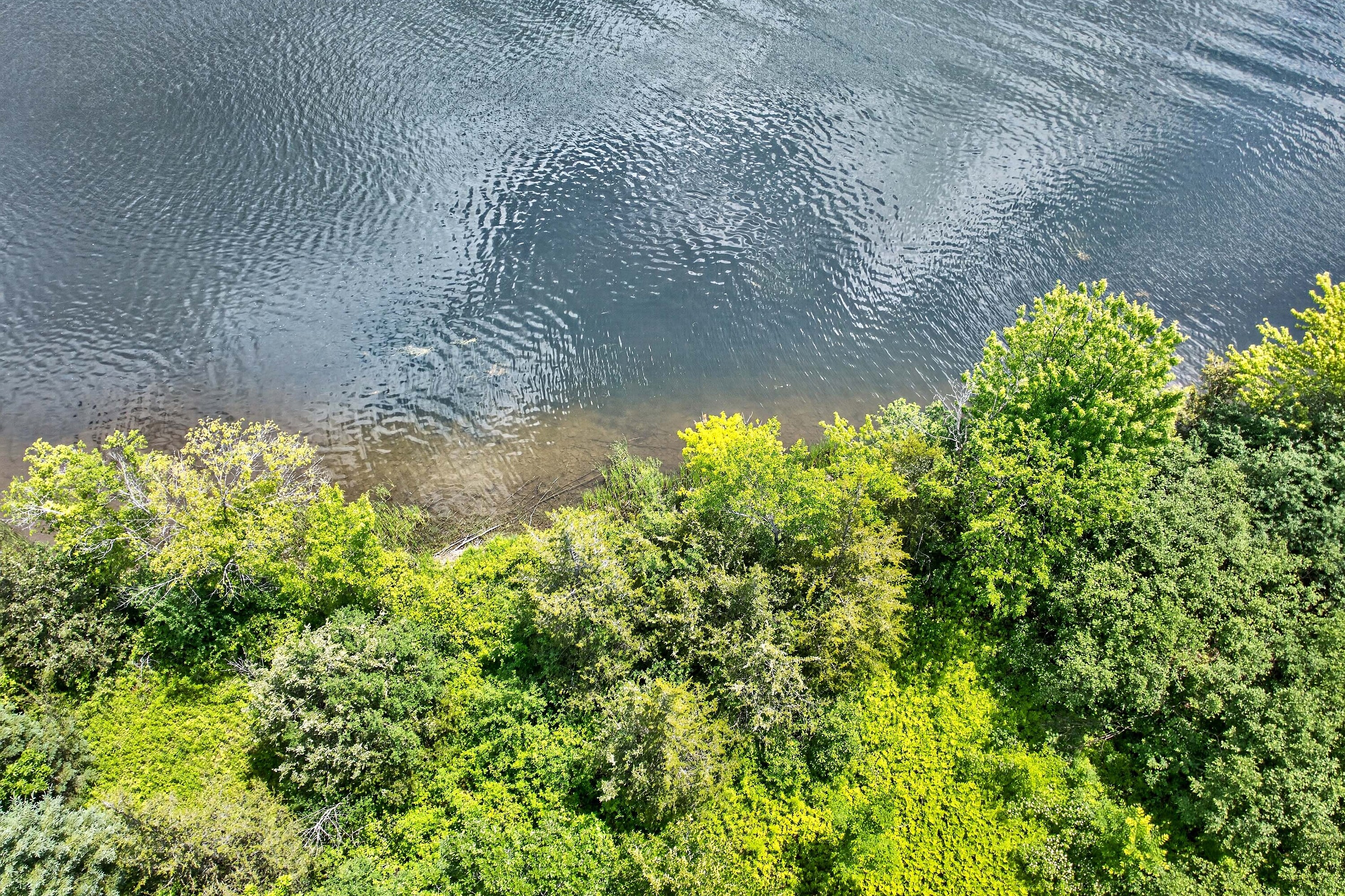  Trent Hills, Eastern Ontario - 物件實景