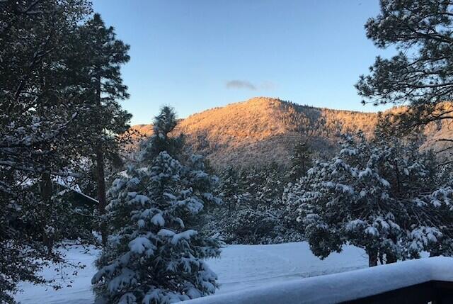 Pine, Arizona, 85544, United States, 2 Bedrooms Bedrooms, ,2 BathroomsBathrooms,Residential,For Sale,1917877
