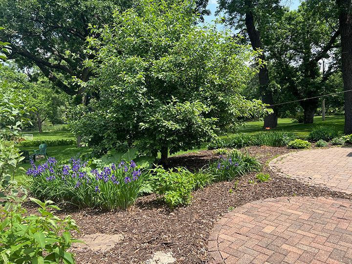 Richfield, Minnesota, 55423, United States, 3 Bedrooms Bedrooms, ,1 BathroomBathrooms,Residential,For Sale,1938909