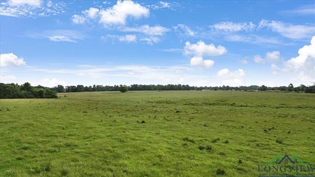 Henderson, Texas, 75654, United States, ,Land,For Sale,1885334