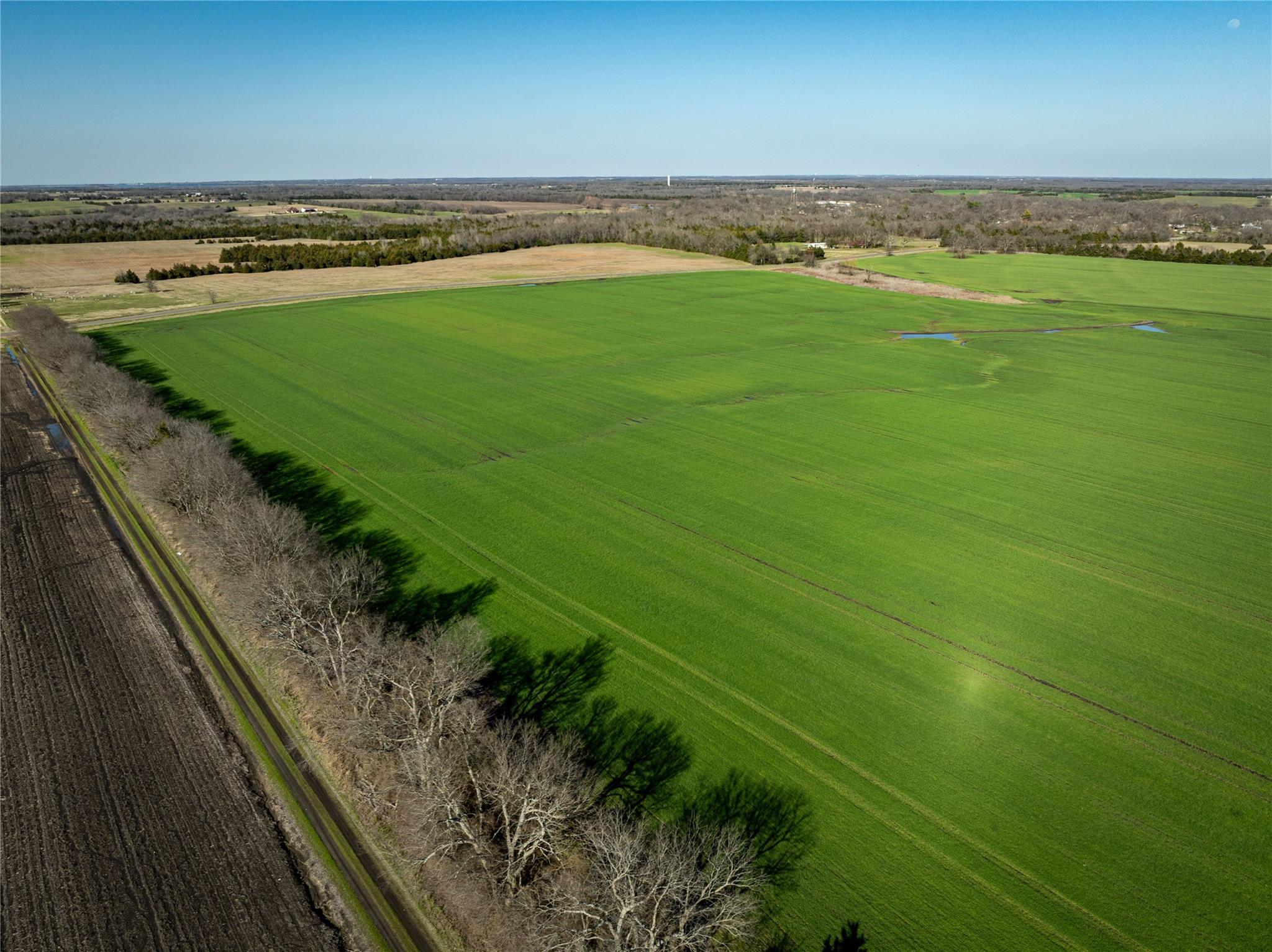 Roxton, Texas, 75477, United States, ,Residential,For Sale,1935502