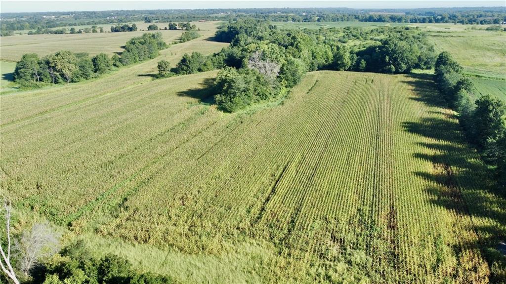 Trenton, Missouri, 64683, United States, ,Land,For Sale,1978686