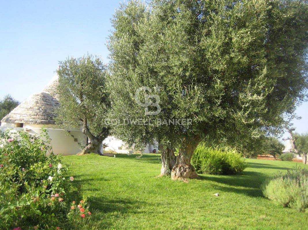 Contrada San Salvatore, Ostuni, Brindisi, 72017, IT, 5 Bedrooms Bedrooms, ,6 BathroomsBathrooms,Residential,For Sale,Contrada San Salvatore,1441436