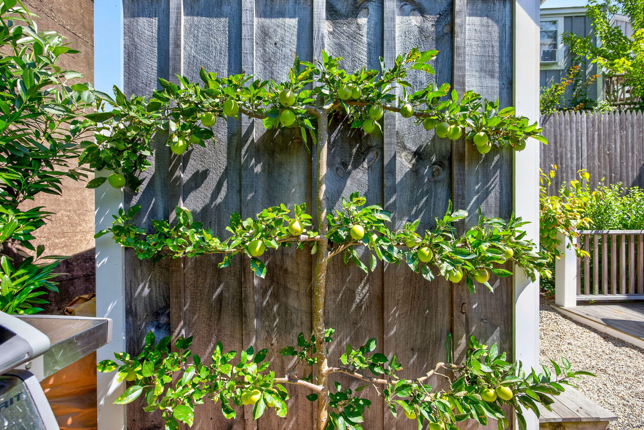  Designer Finishes, Private Yard & Deeded Parking - 物件實景
