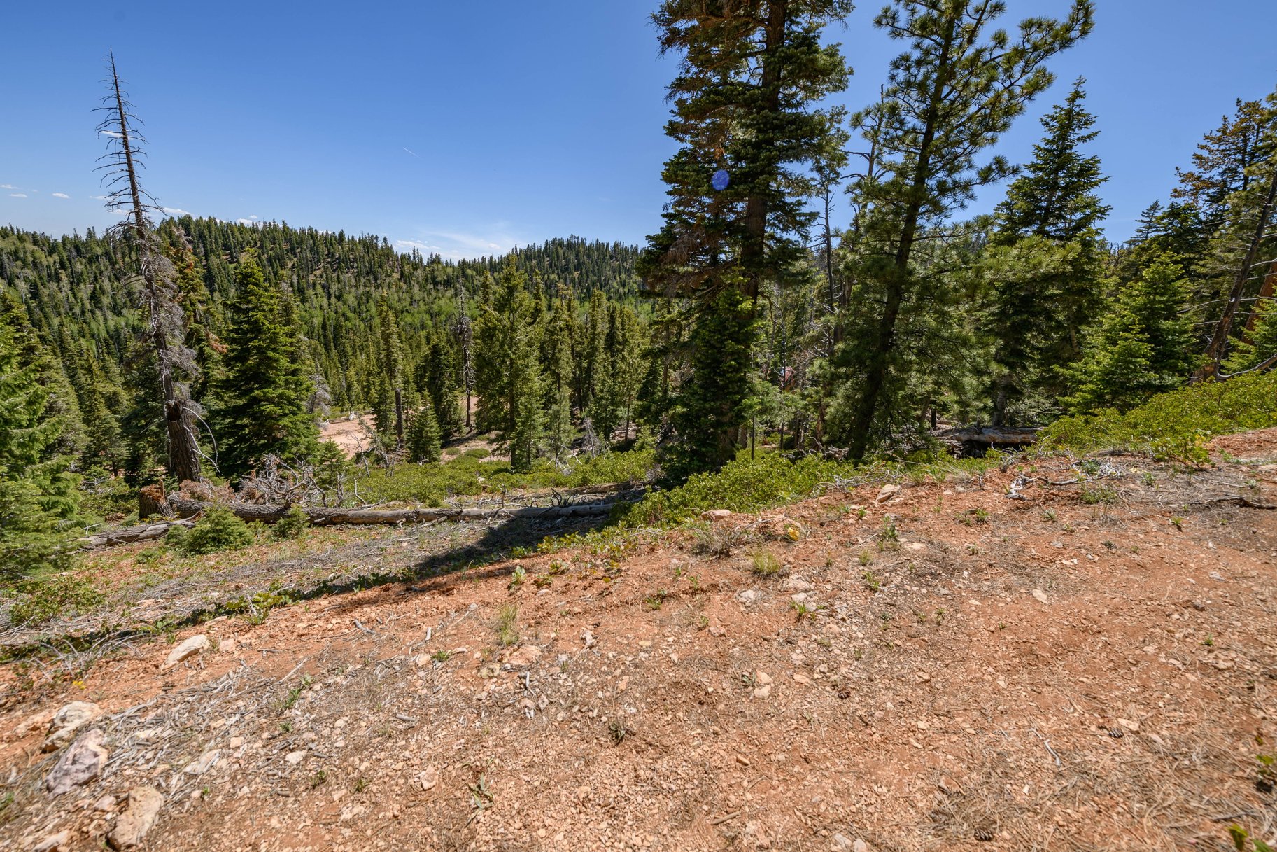 Quiet Mountain Retreat Near Navajo Lake - 物件實景