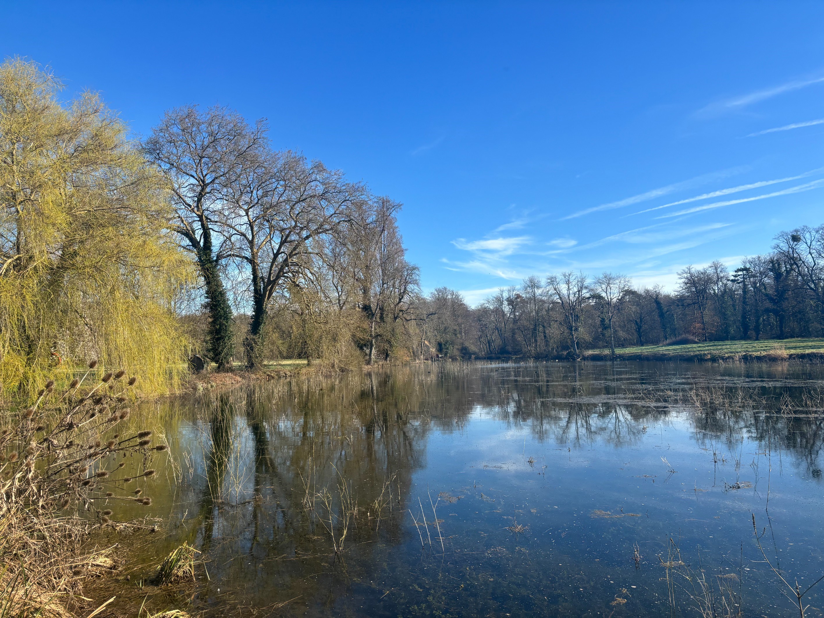  Castle - Loire Valley - 物件實景