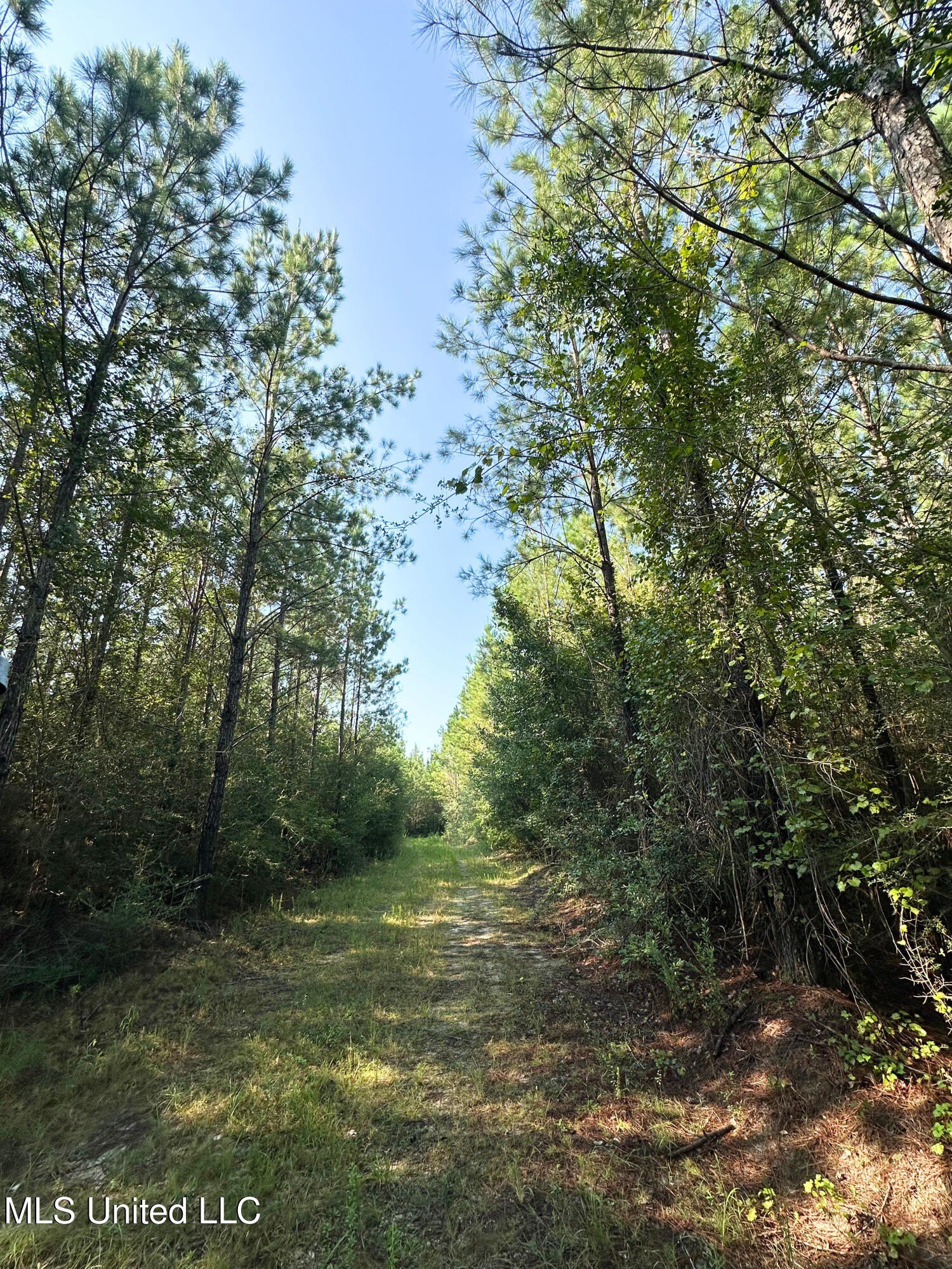 Lucedale, Mississippi, 39452, United States, ,Land,For Sale,1974704