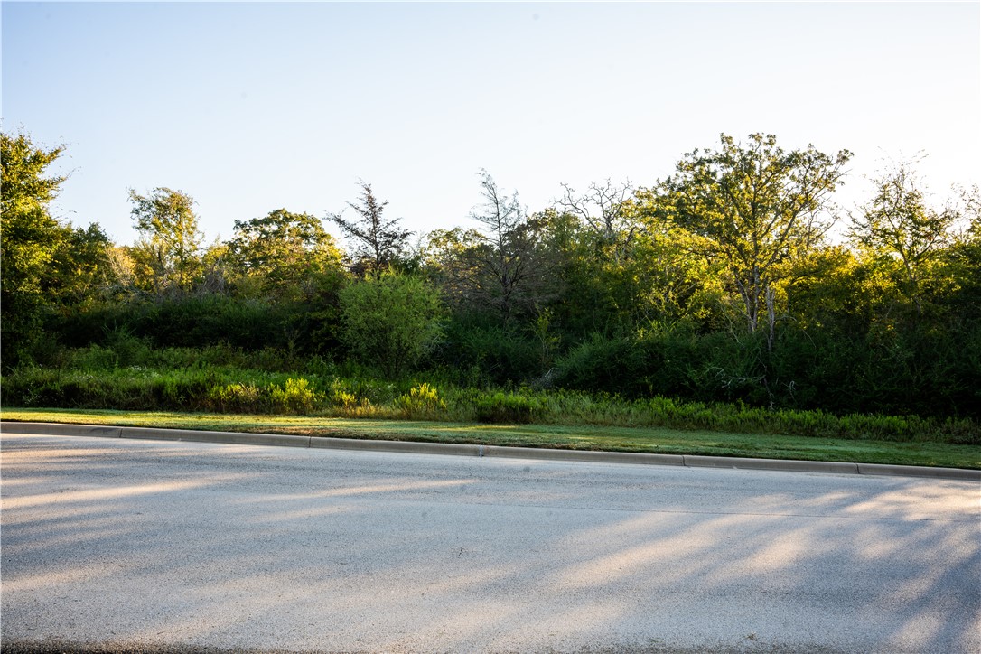 Bryan, Texas, 77807, United States, ,Land,For Sale,1933338