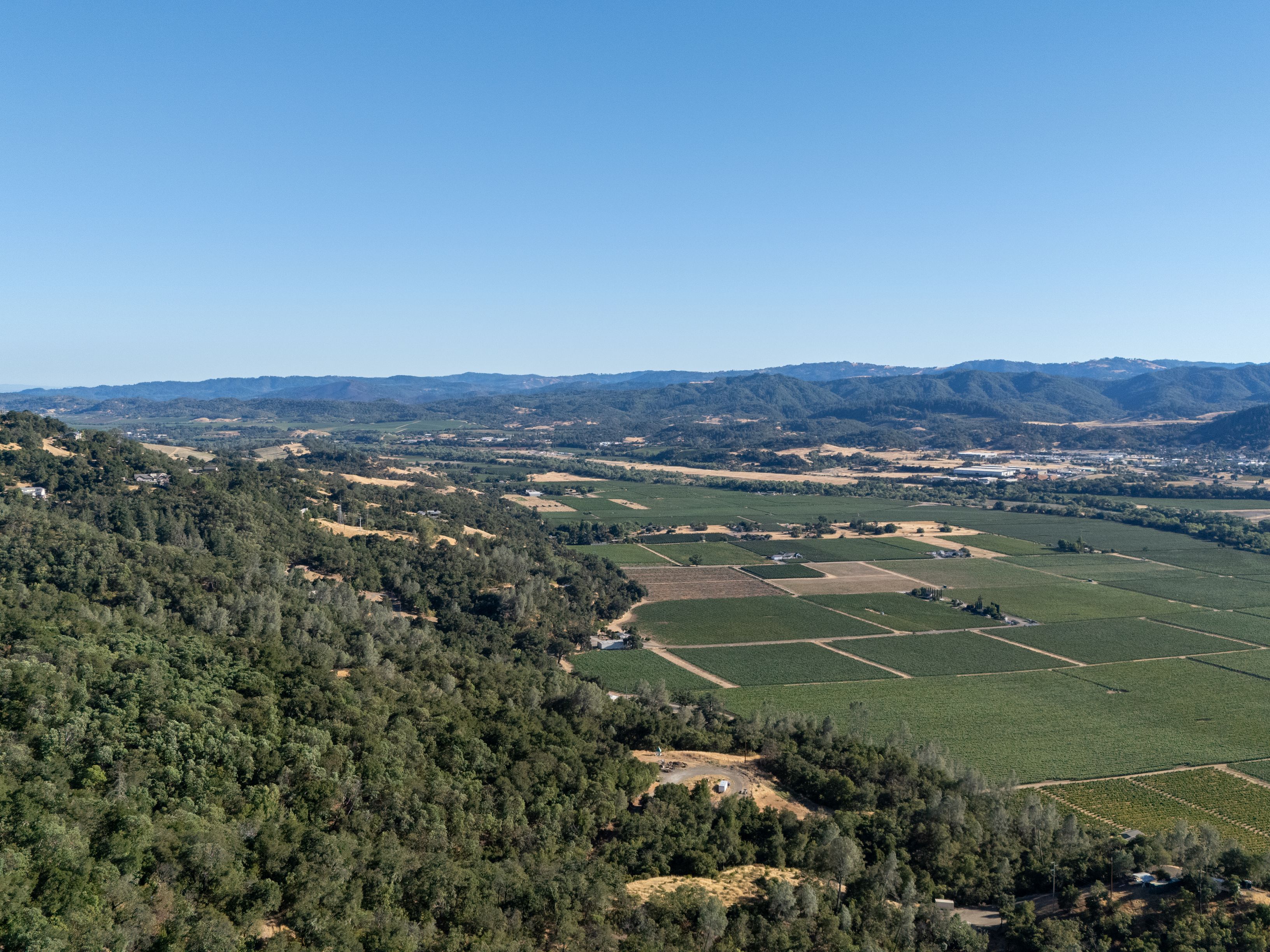  Very Rare Opportunity Alexander Valley Ranch - 物件實景