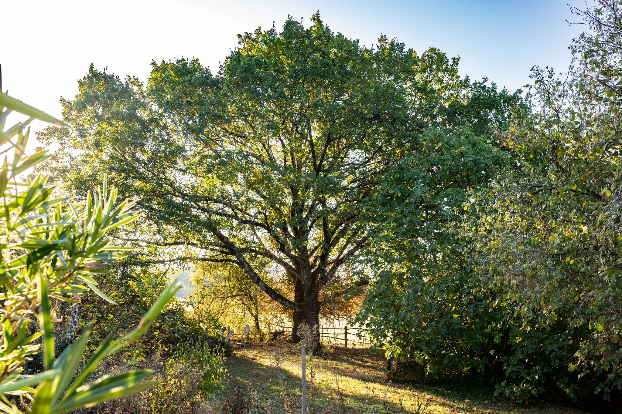  A Hidden Hamlet in the Heart of the Périgord, Offering Five Separate Residences - 物件實景
