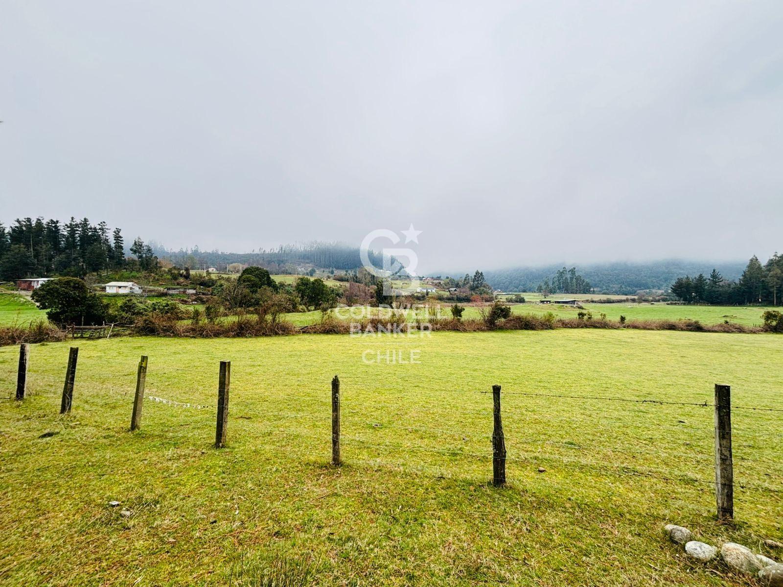 Futrono, Chile, ,Residential,For Sale,1934397