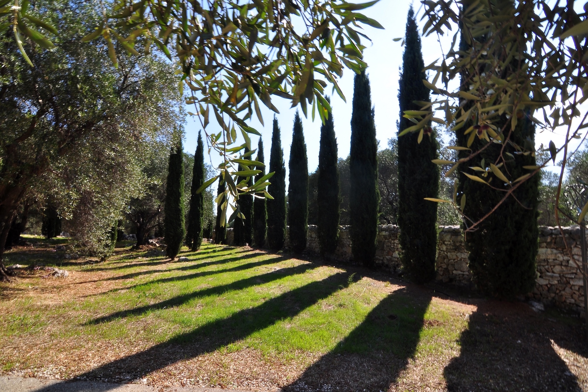  Linamia - 物件實景