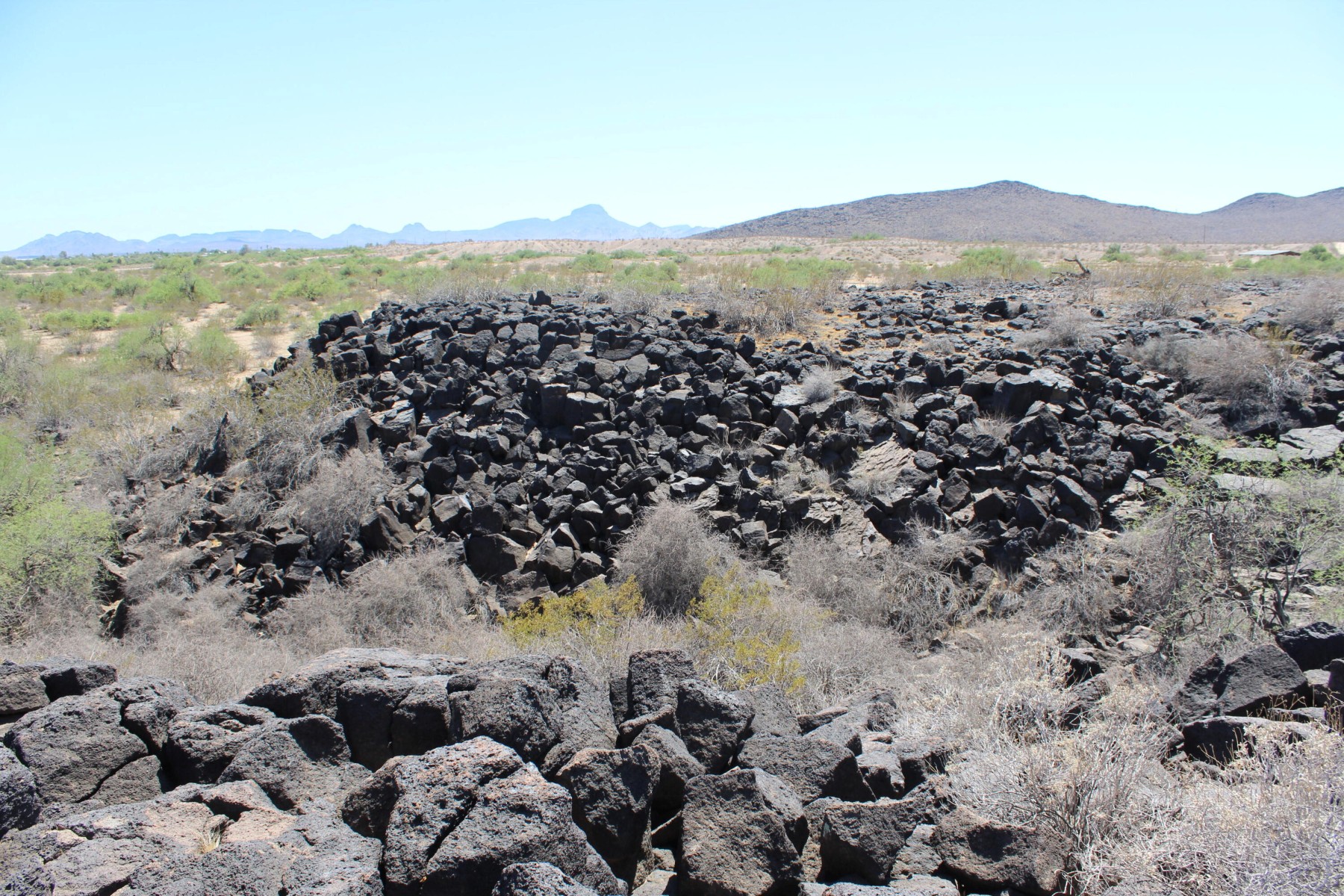  11 S 337th Avenue, Arlington, AZ, 85322 - 物件實景