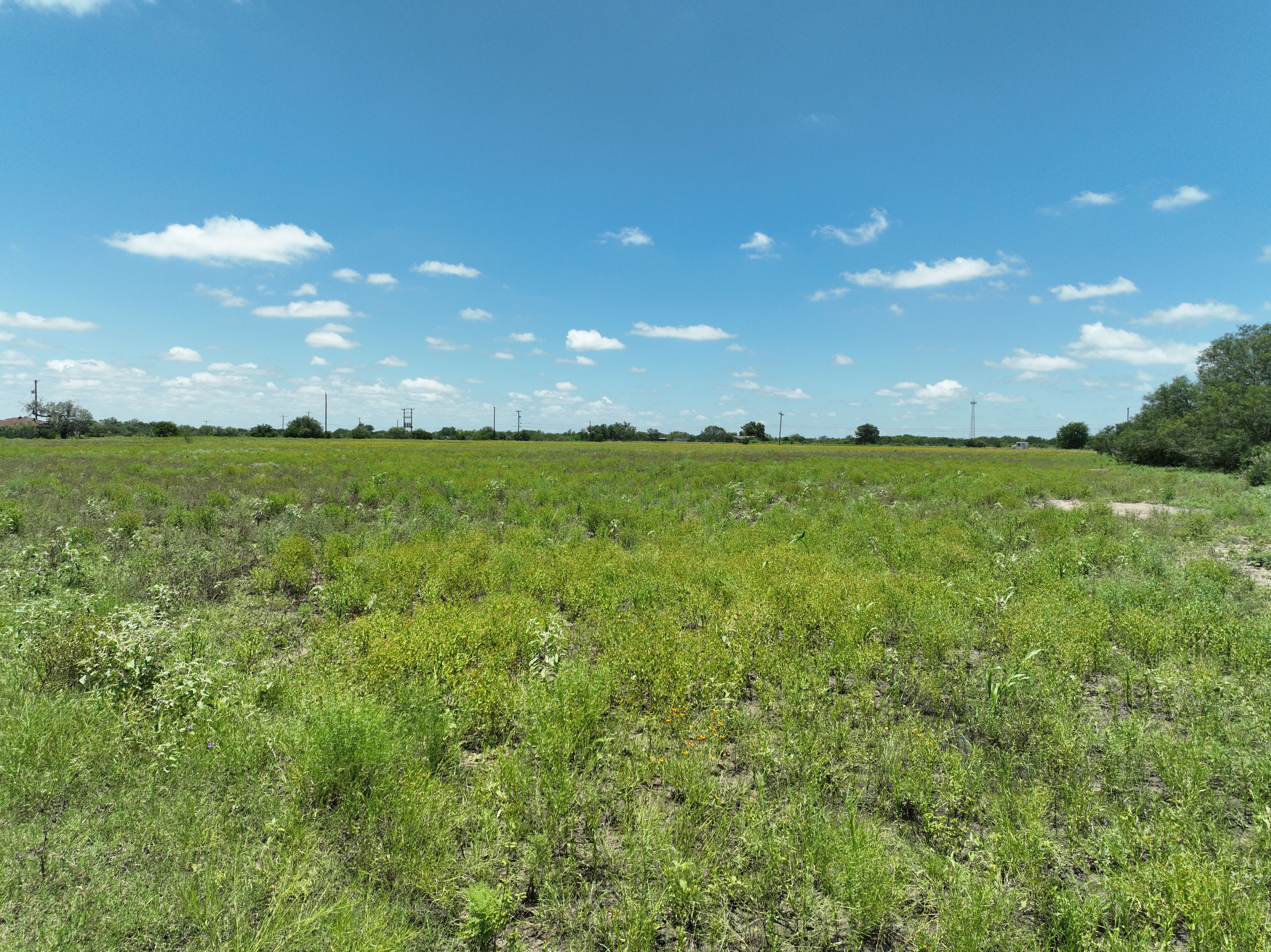  87.69+/- Acres in Bexar County - 物件實景