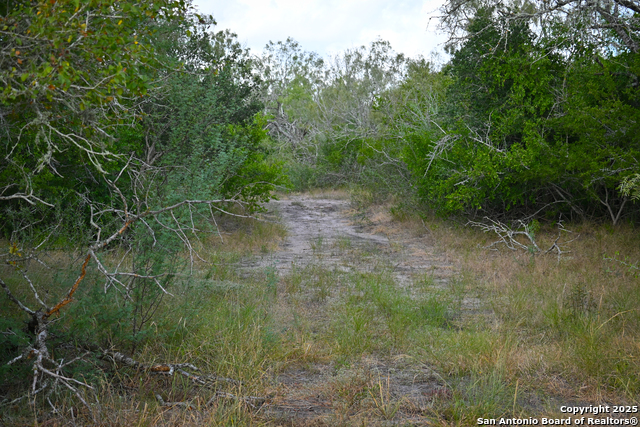 Nixon, Texas, 78140, United States, ,Residential,For Sale,1988320