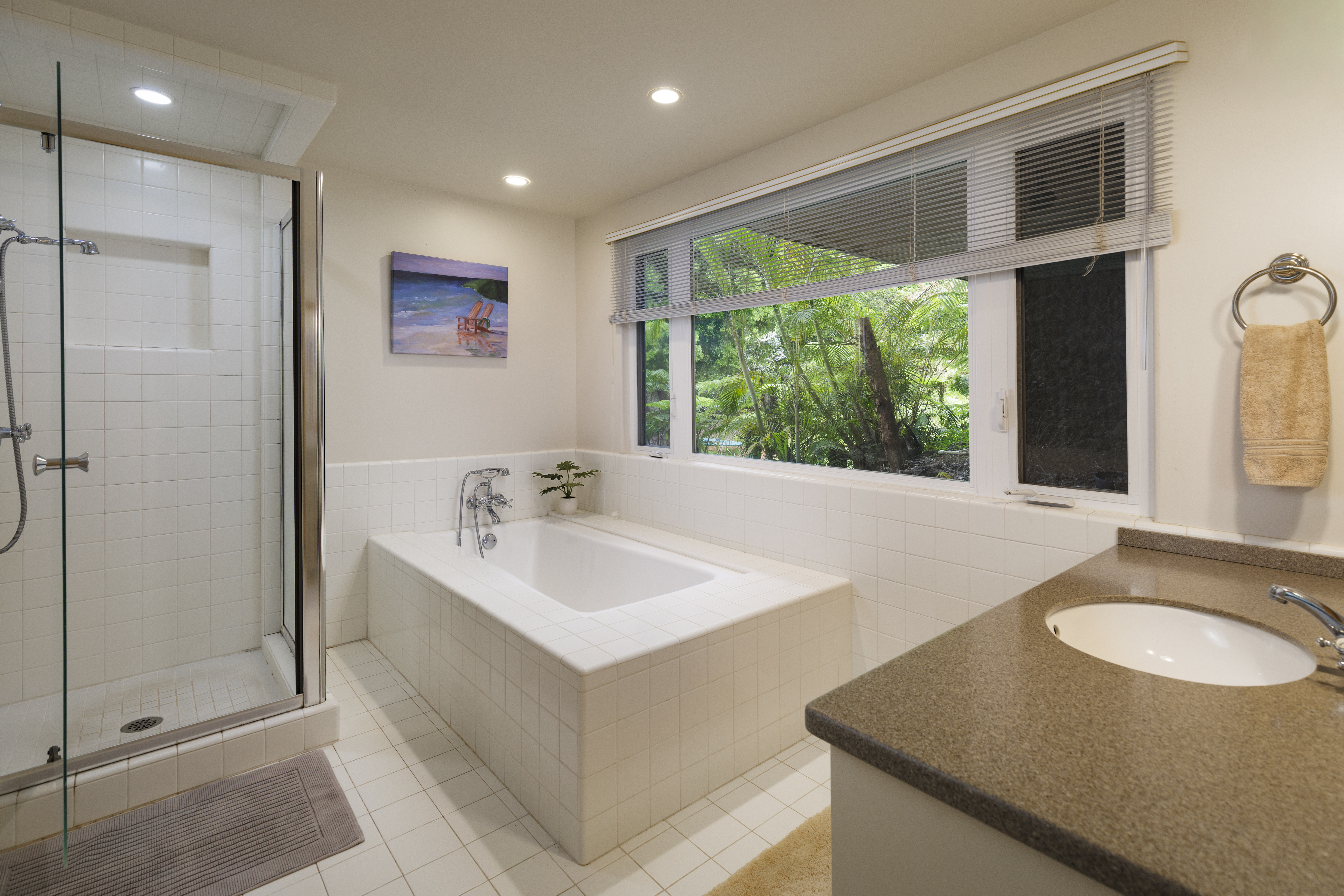  65-1252 Laelae Road, Kamuela, HI 96743 - 物件實景