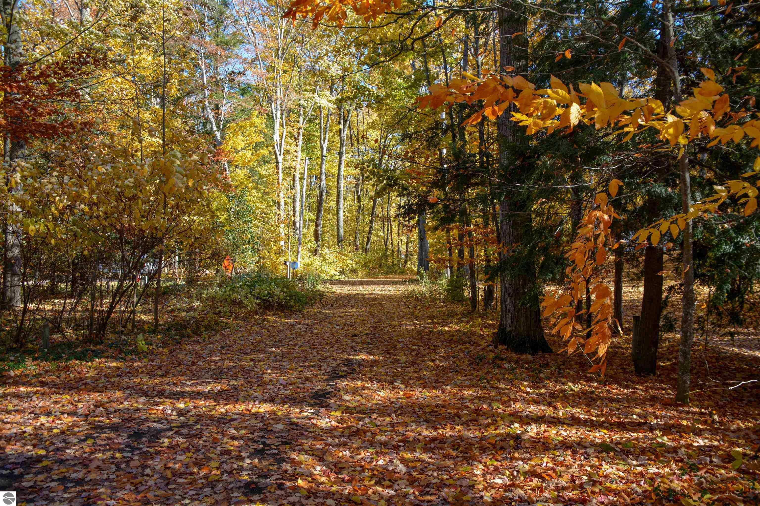 Traverse City, Michigan, 49685, United States, 3 Bedrooms Bedrooms, ,3 BathroomsBathrooms,Residential,For Sale,1988972